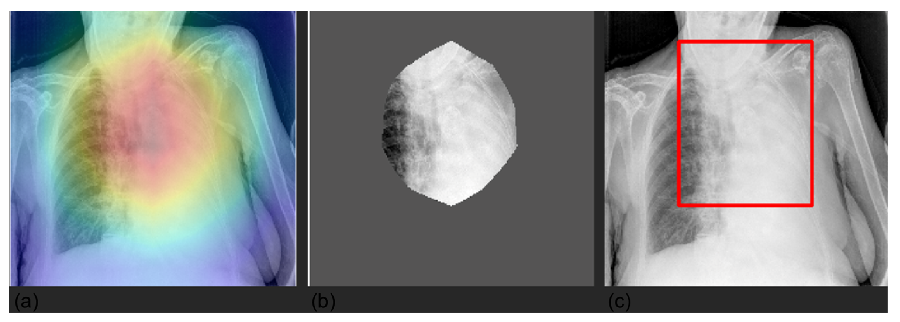 Diagnostics 12 02084 g007