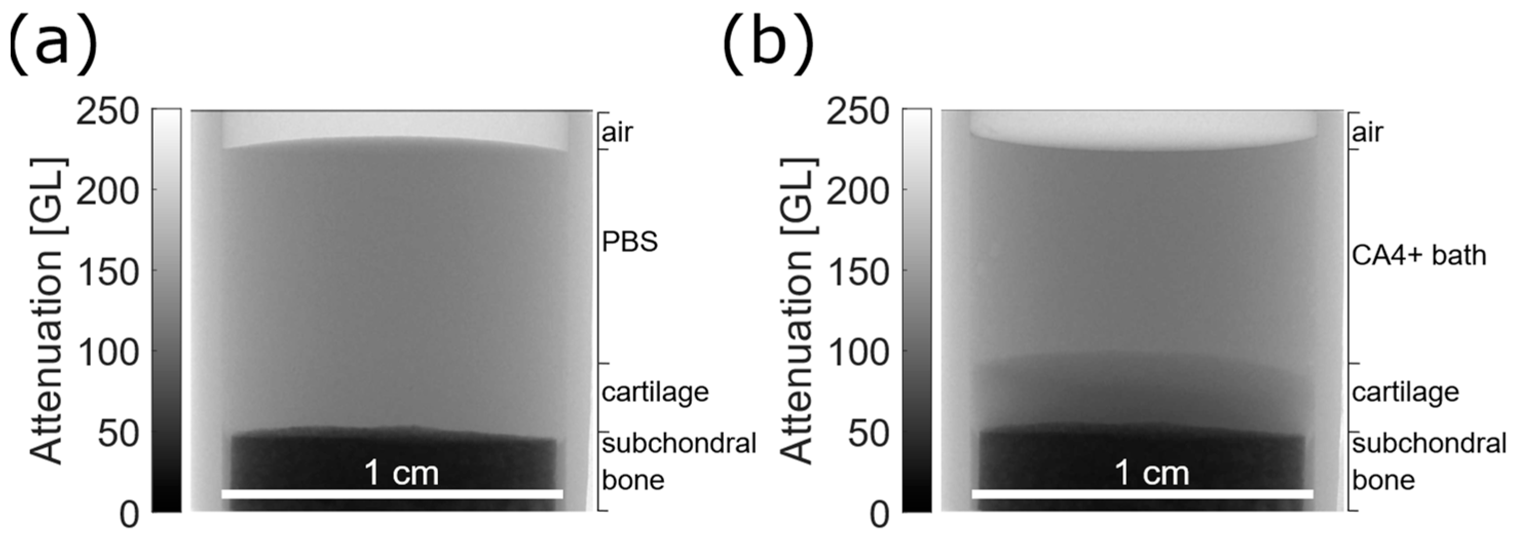 Diagnostics 12 02111 g002