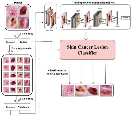 Diagnostics | Free Full-Text | An Efficient Deep Learning-Based Skin Cancer  Classifier for an Imbalanced Dataset