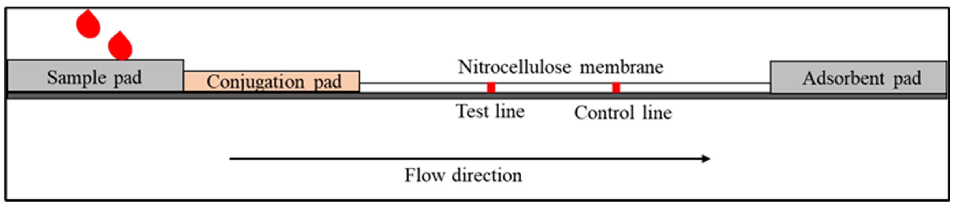 Diagnostics 12 02158 g001 Diagnostics 12 02158 g001