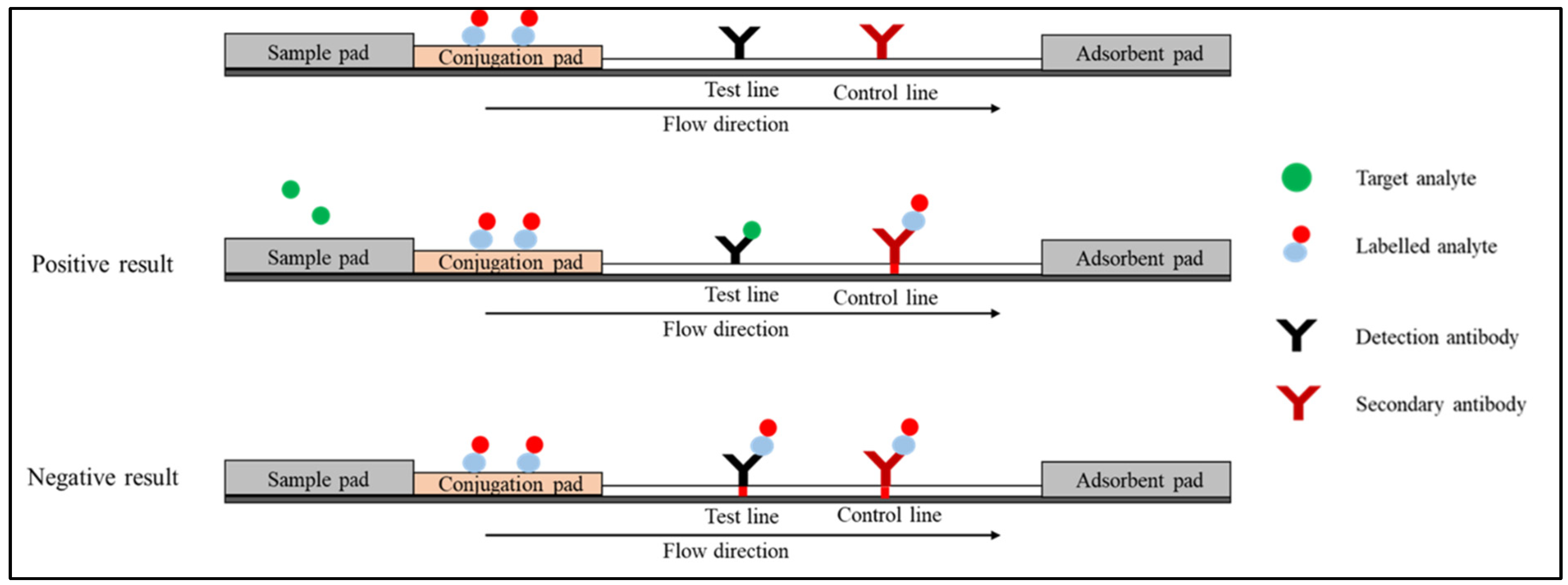 Diagnostics 12 02158 g003 Diagnostics 12 02158 g003