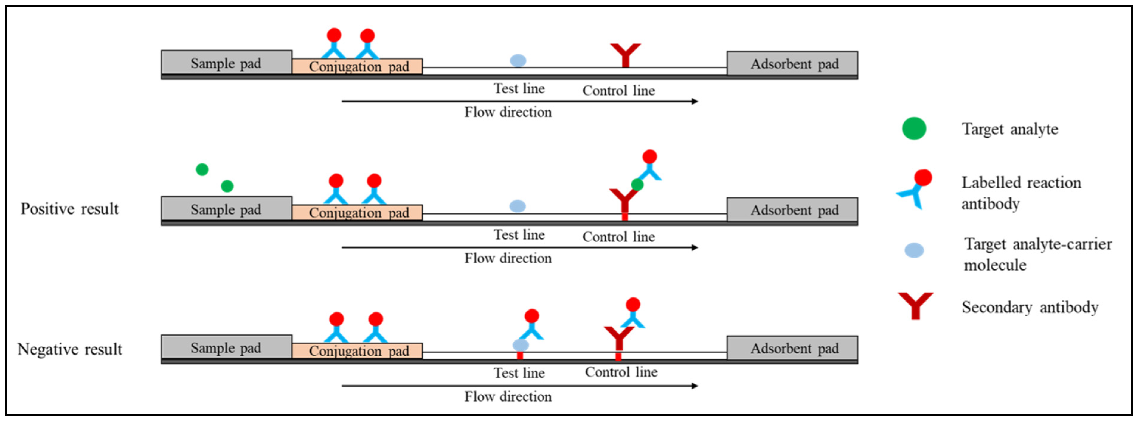 Diagnostics 12 02158 g004 Diagnostics 12 02158 g004