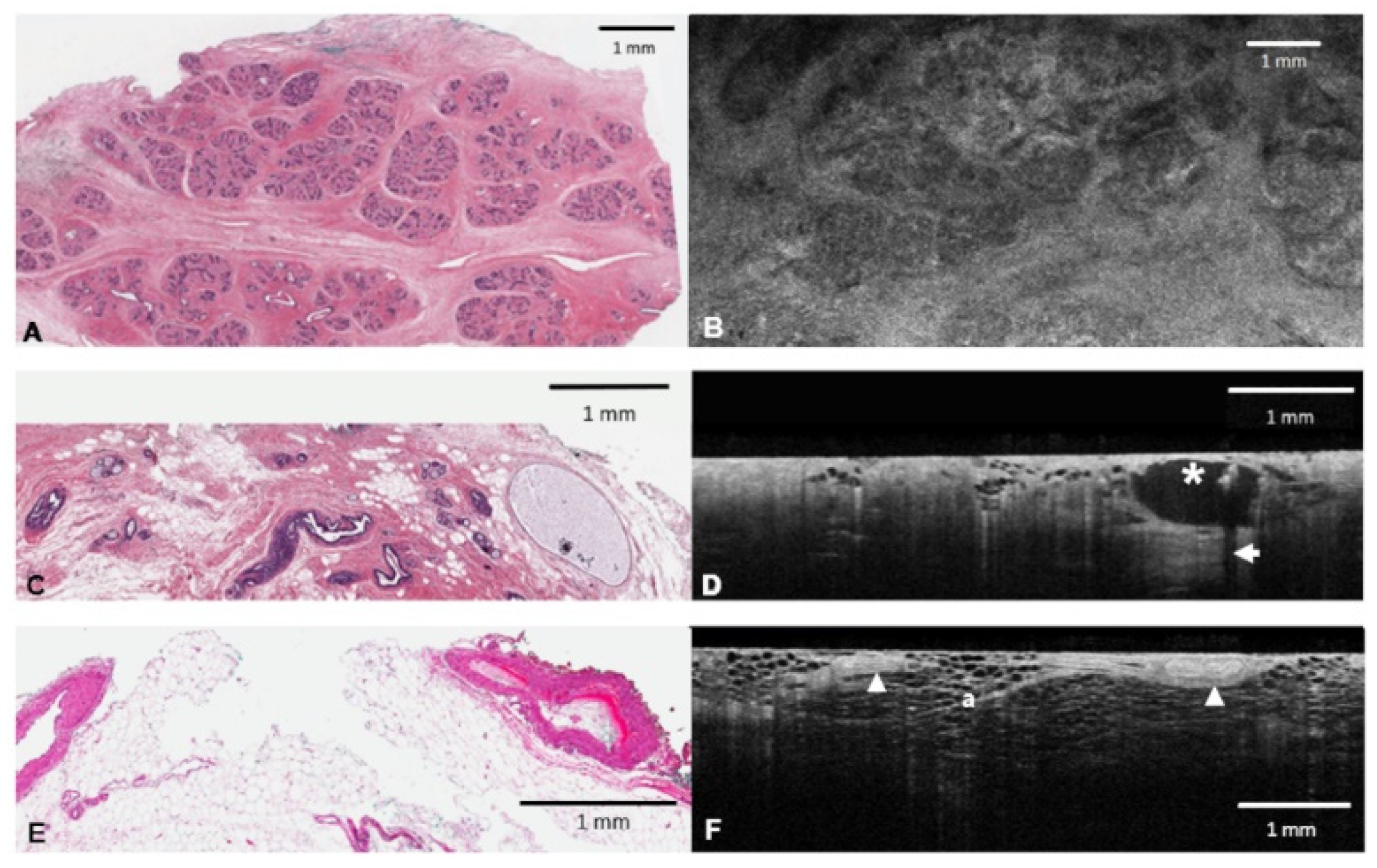 Diagnostics 12 02191 g001