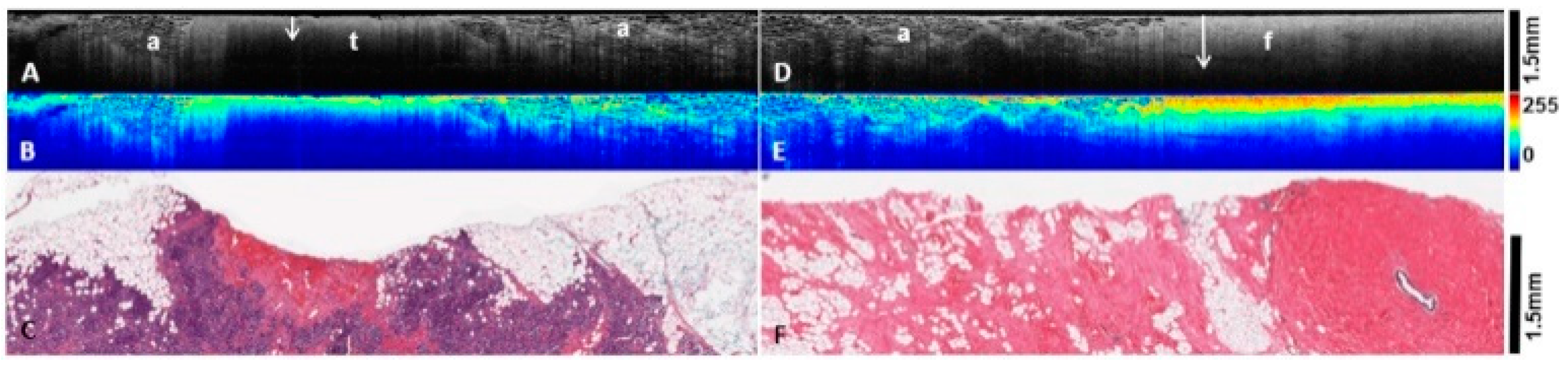 Diagnostics 12 02191 g003