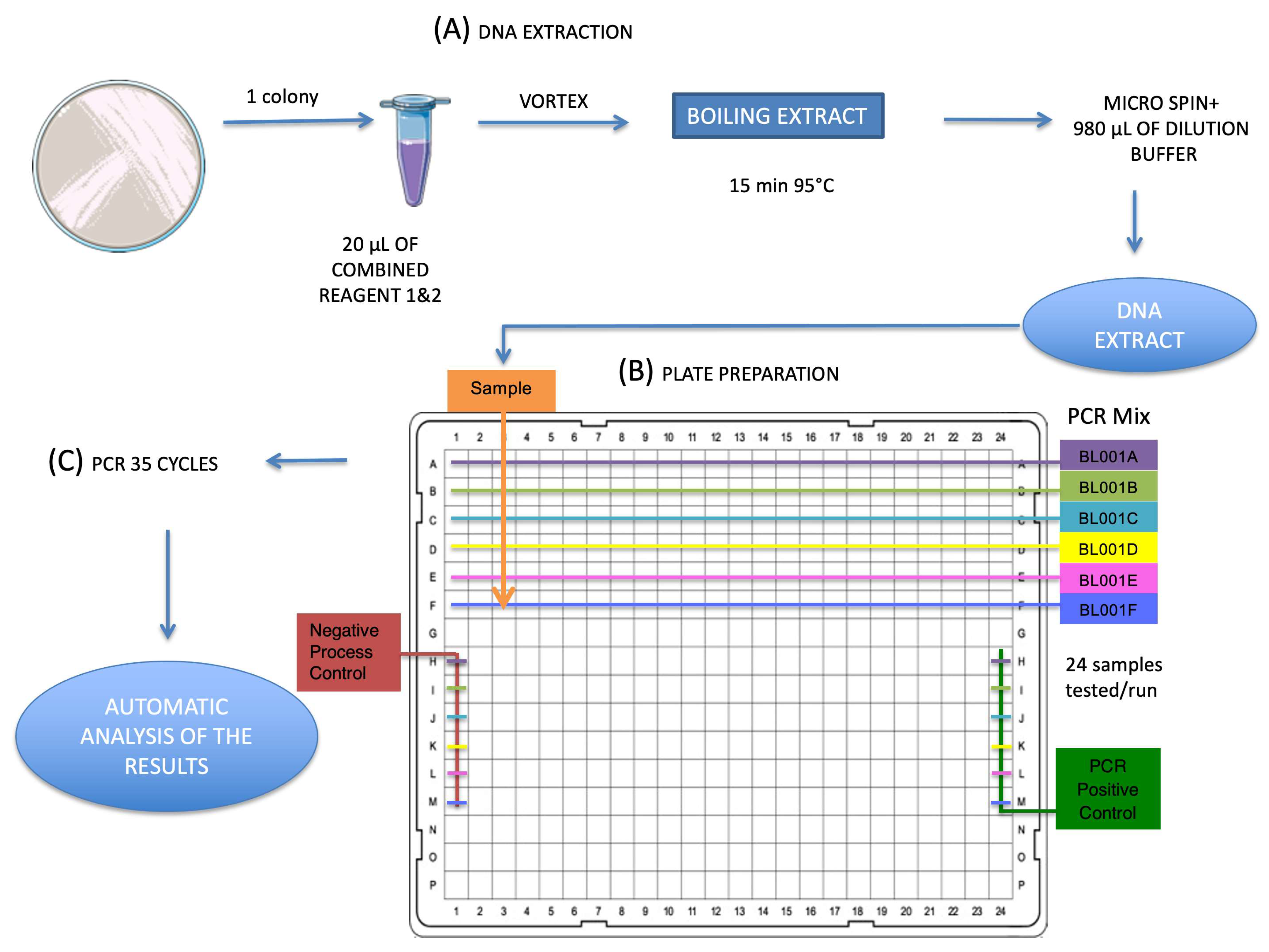 https://www.mdpi.com/diagnostics/diagnostics-12-02223/article_deploy/html/images/diagnostics-12-02223-g001.png