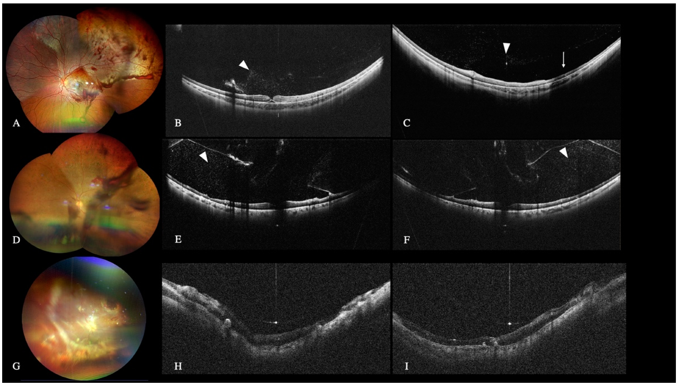 Diagnostics 12 02247 g006 Diagnostics 12 02247 g006