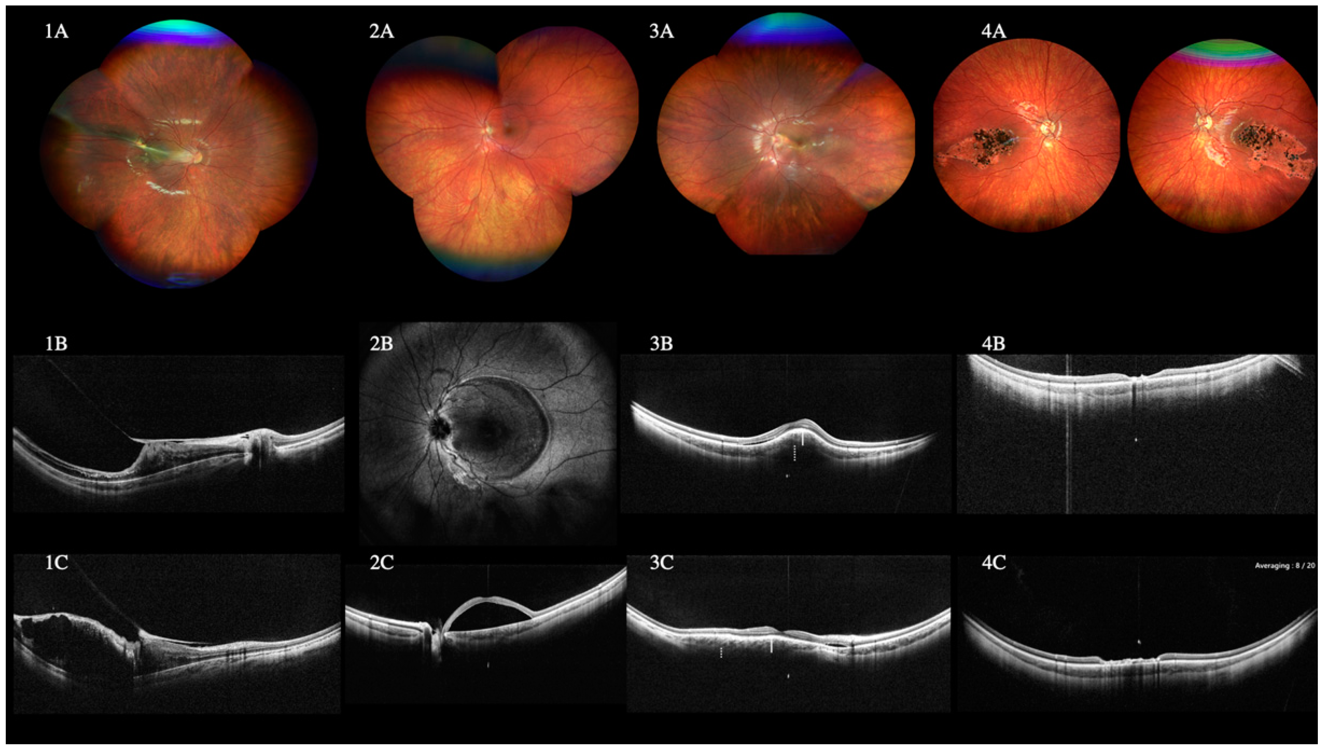 Diagnostics 12 02247 g007 Diagnostics 12 02247 g007