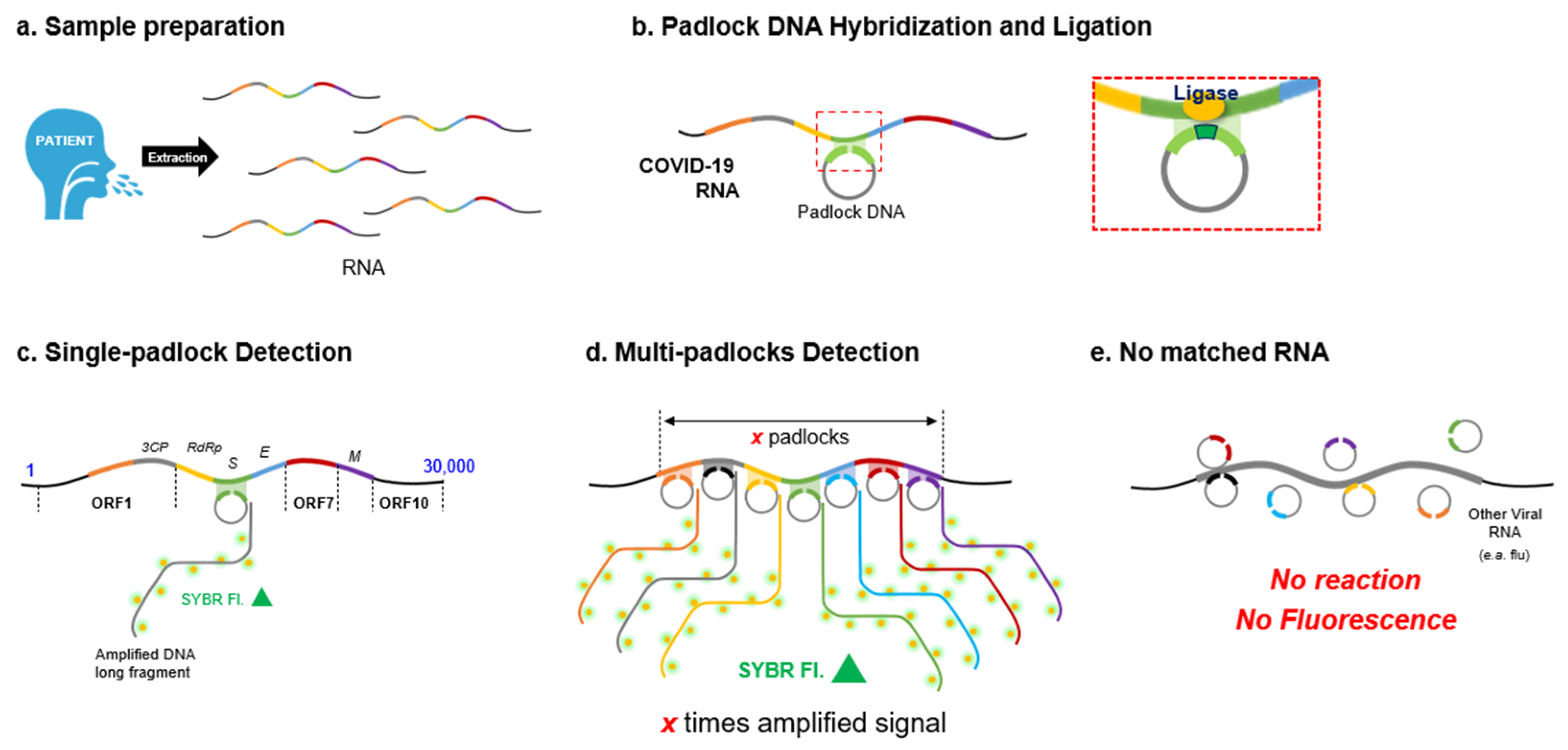 Diagnostics 12 02252 g001