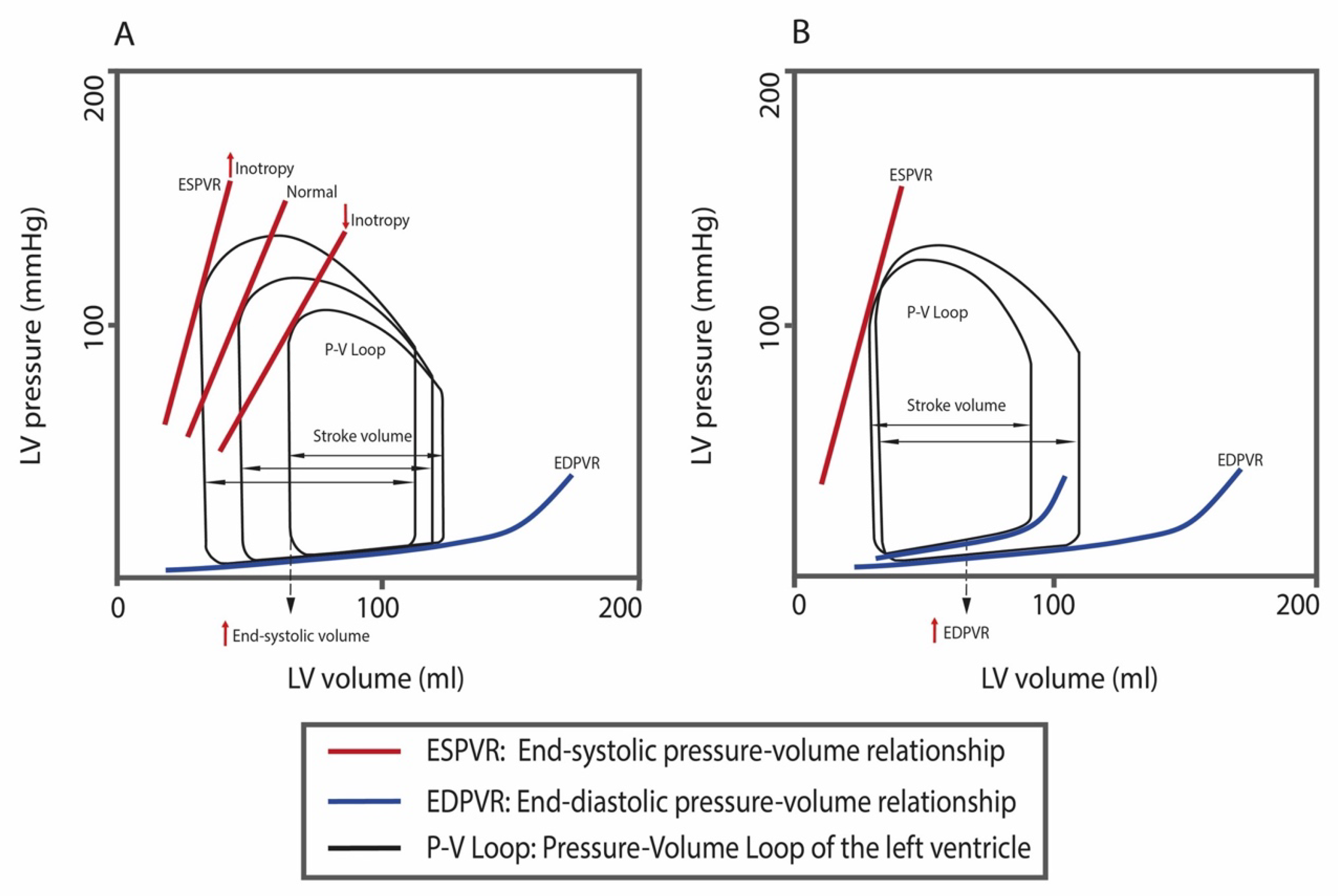 High prevalence of occult left ventricular diastolic dysfunction detected  by exercise stress test in systemic sclerosis