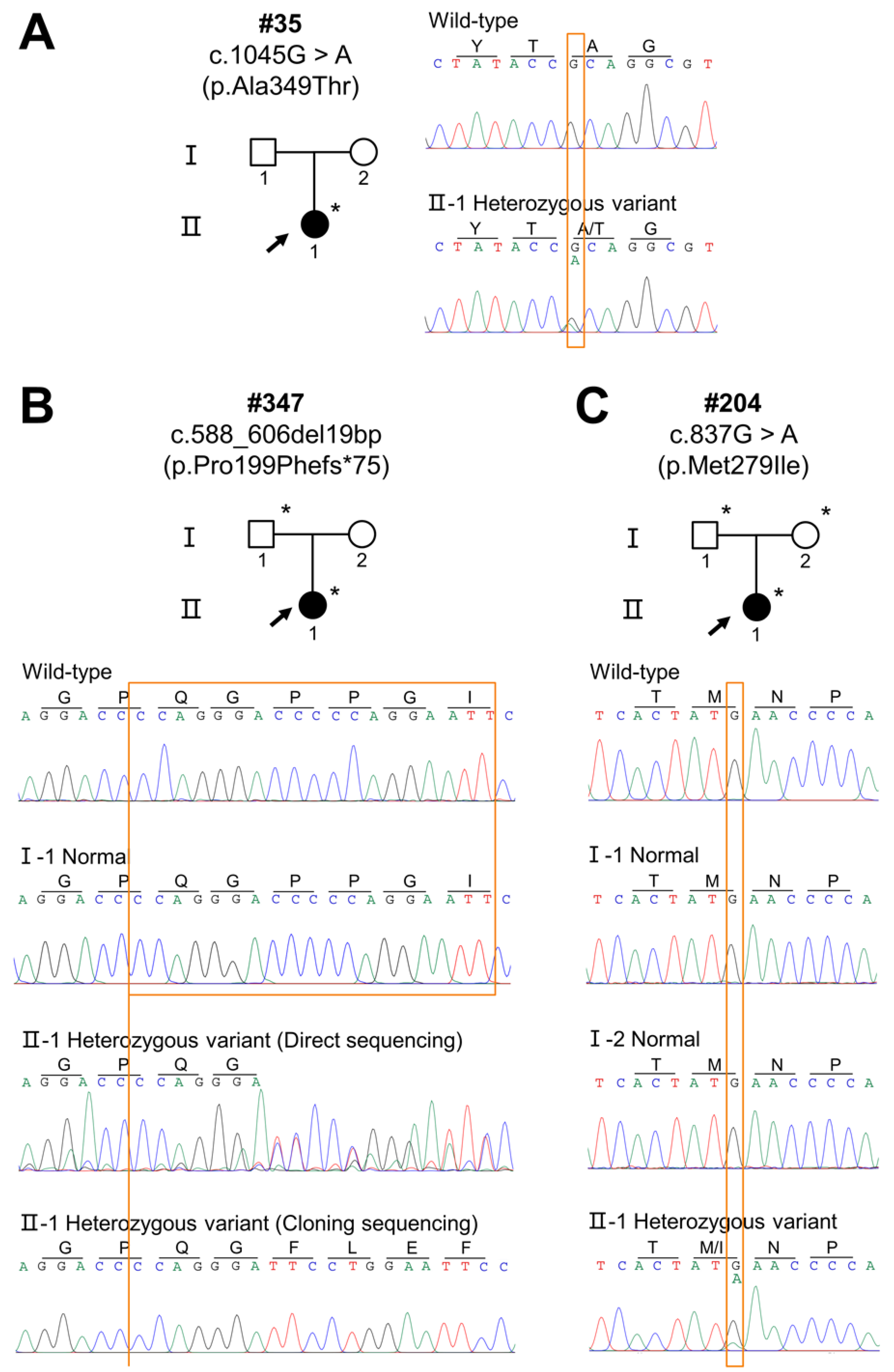 Diagnostics 12 02300 g002