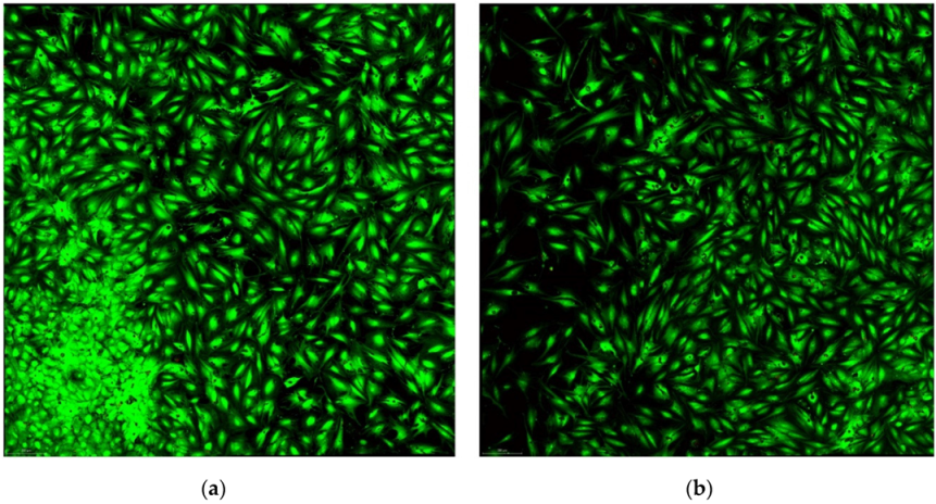 Diagnostics 12 02358 g002 Diagnostics 12 02358 g002