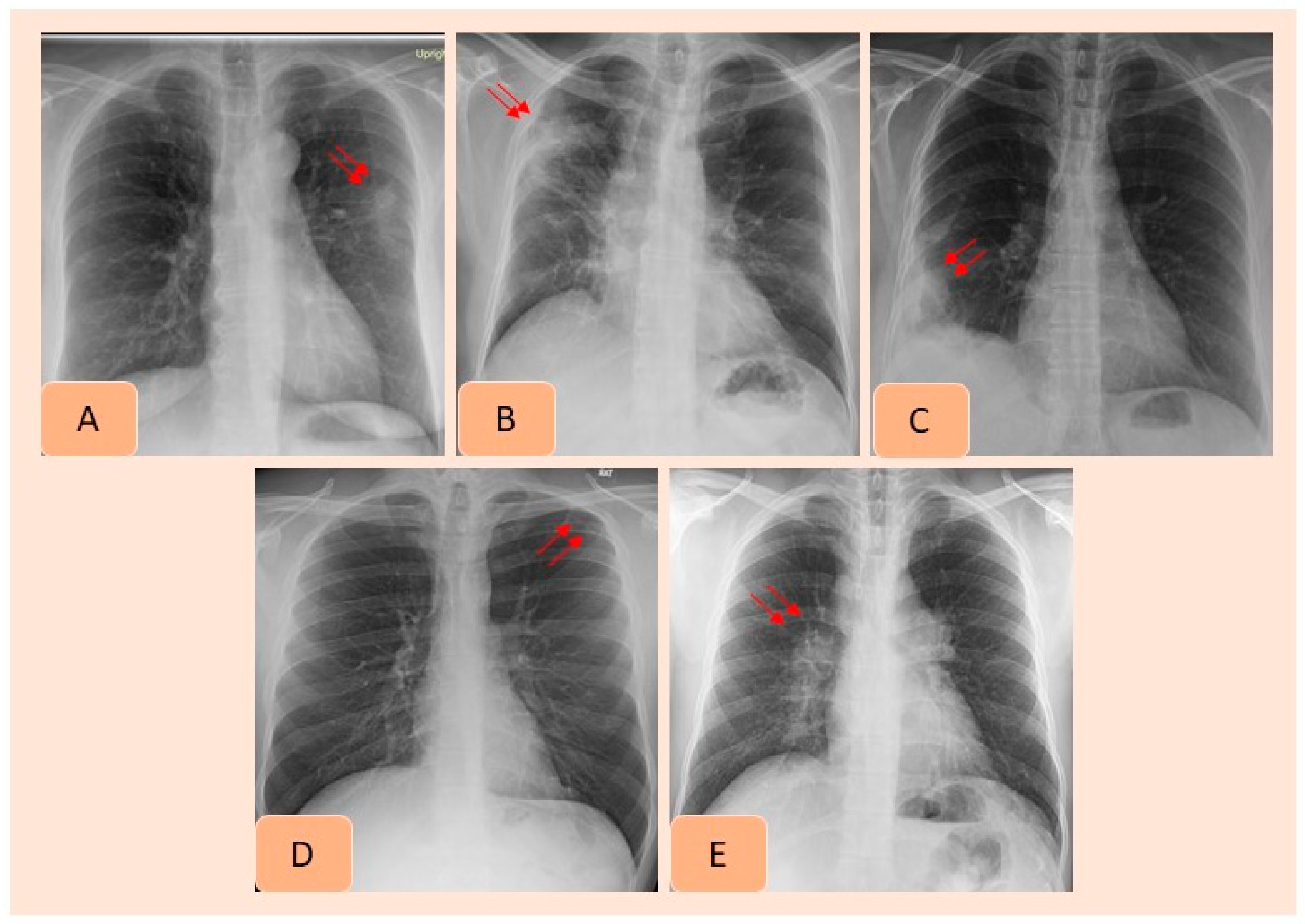 Diagnostics 12 02382 g002