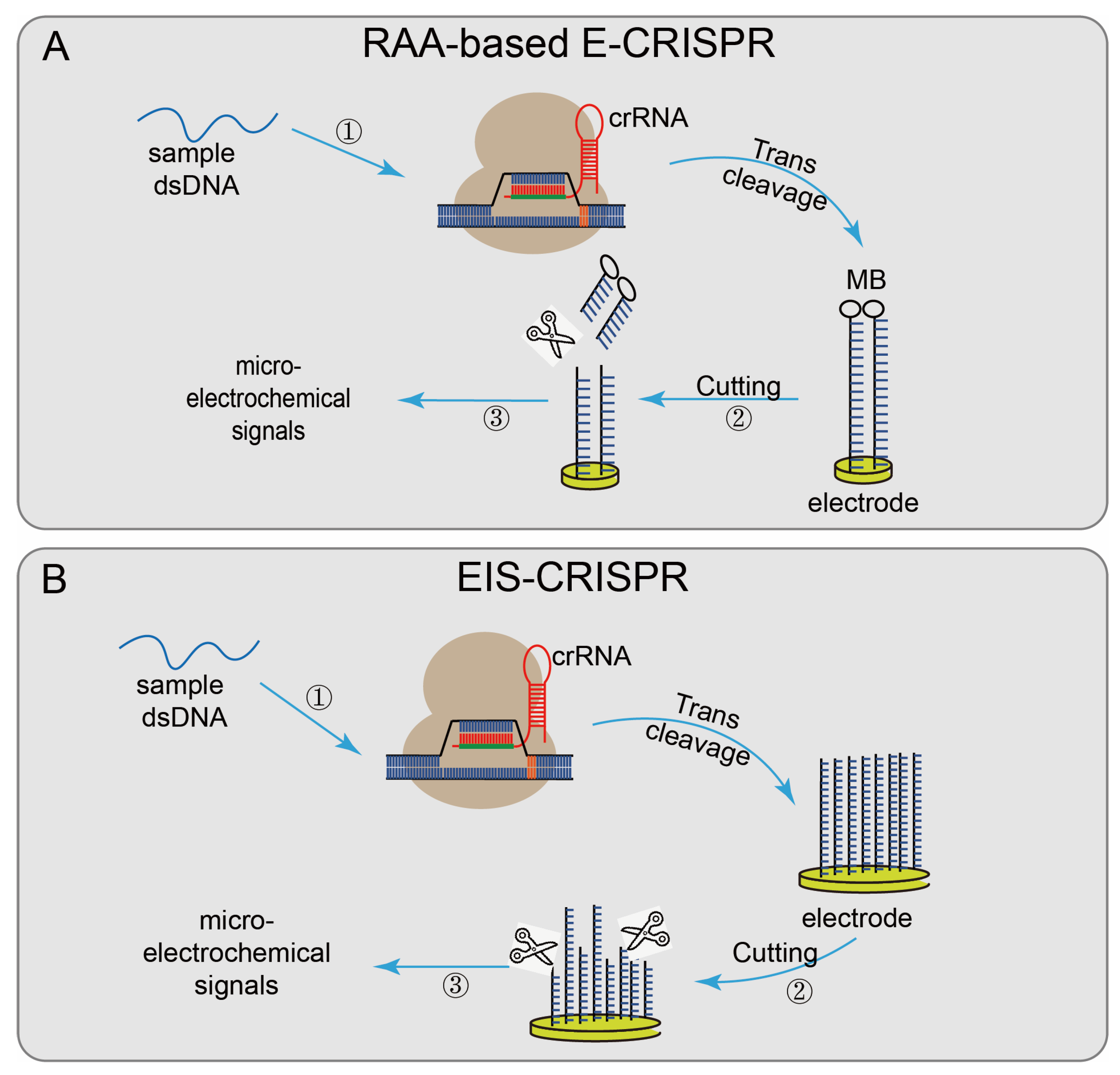 Diagnostics 12 02455 g004