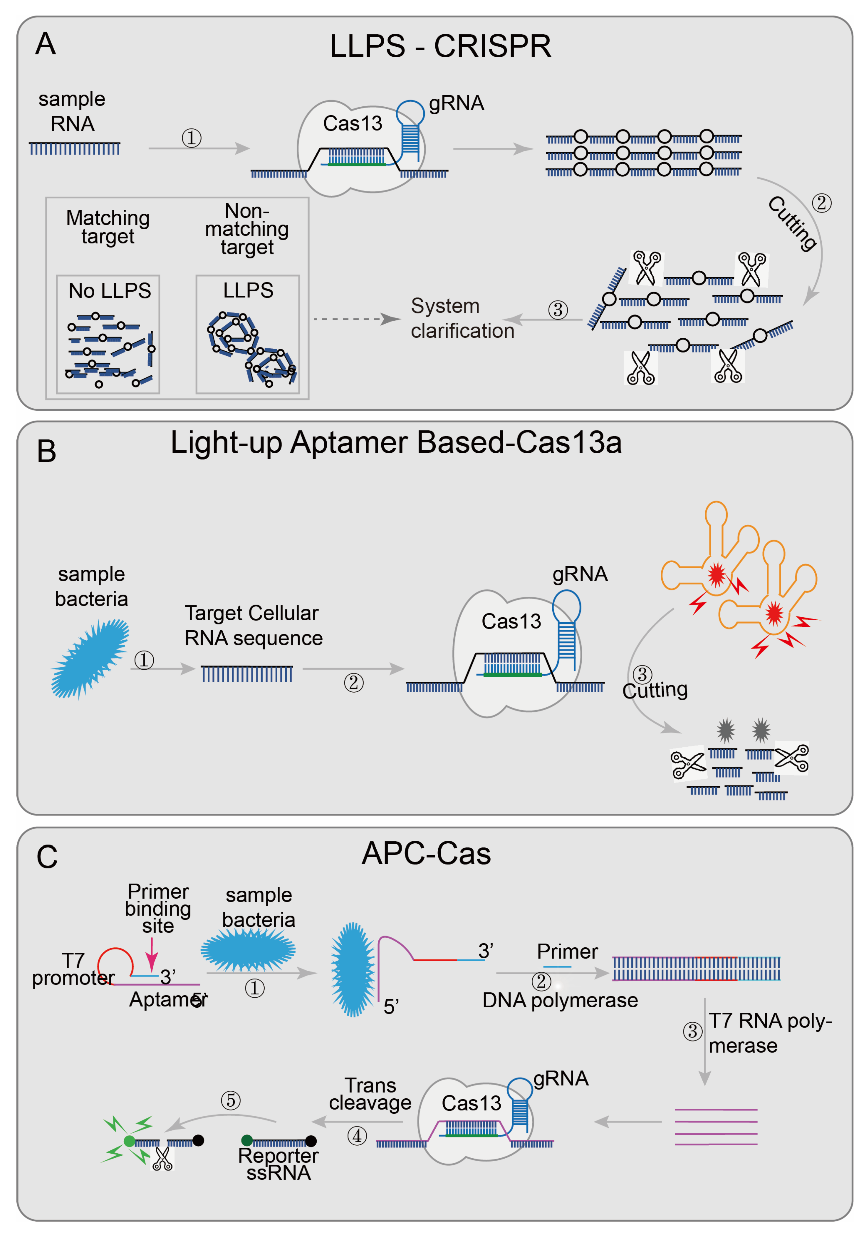 Diagnostics 12 02455 g005