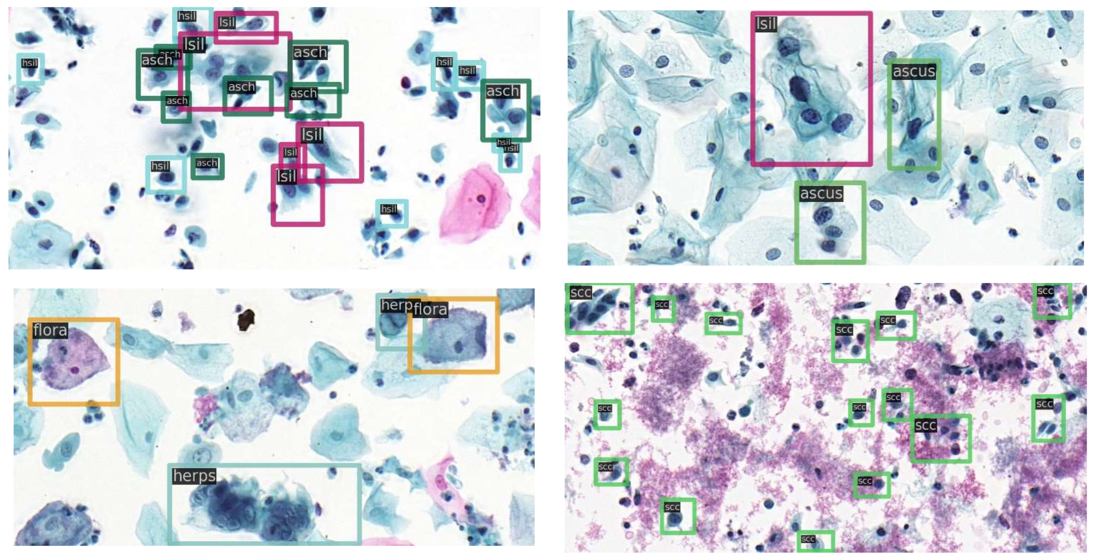 Diagnostics 12 02477 g004 Diagnostics 12 02477 g004