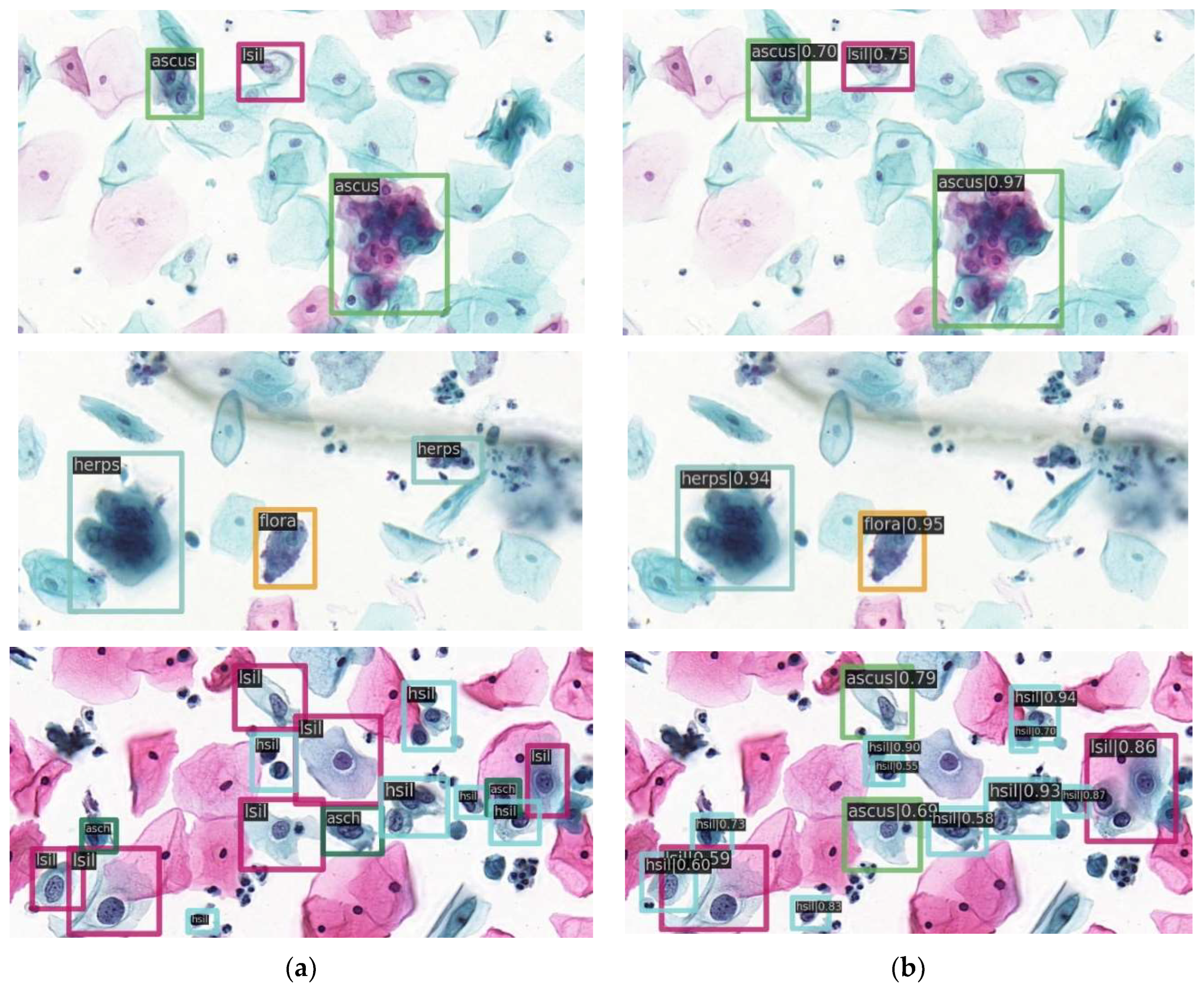 Diagnostics 12 02477 g005 Diagnostics 12 02477 g005