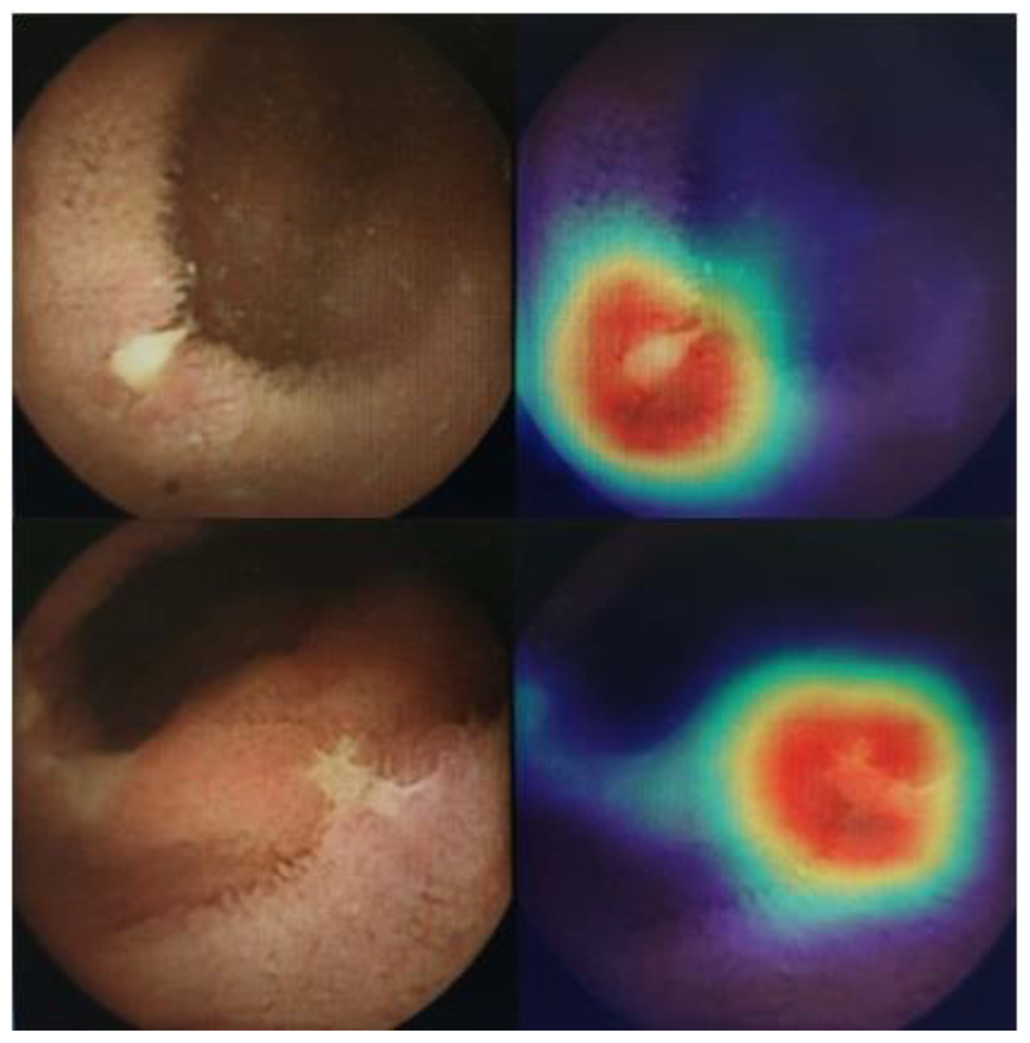 Diagnostics 12 02490 g006