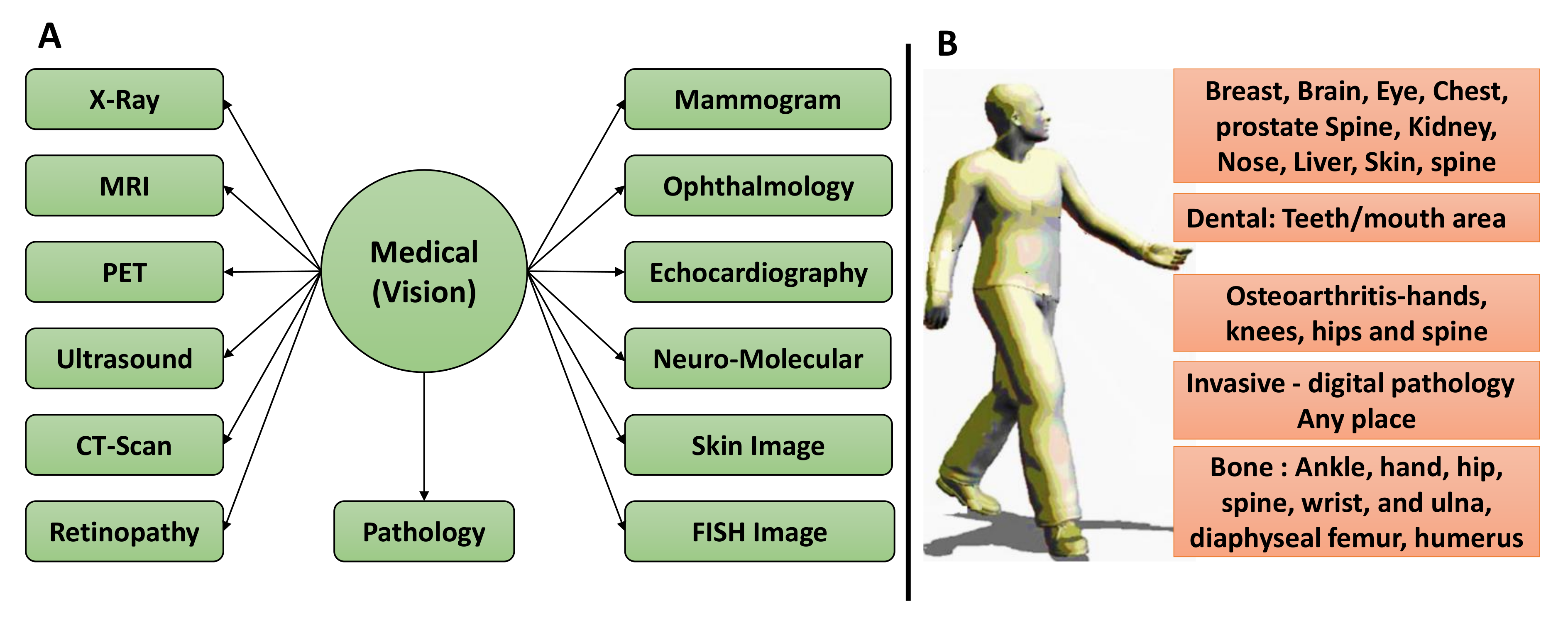 Diagnostics 12 02549 g005 Diagnostics 12 02549 g005