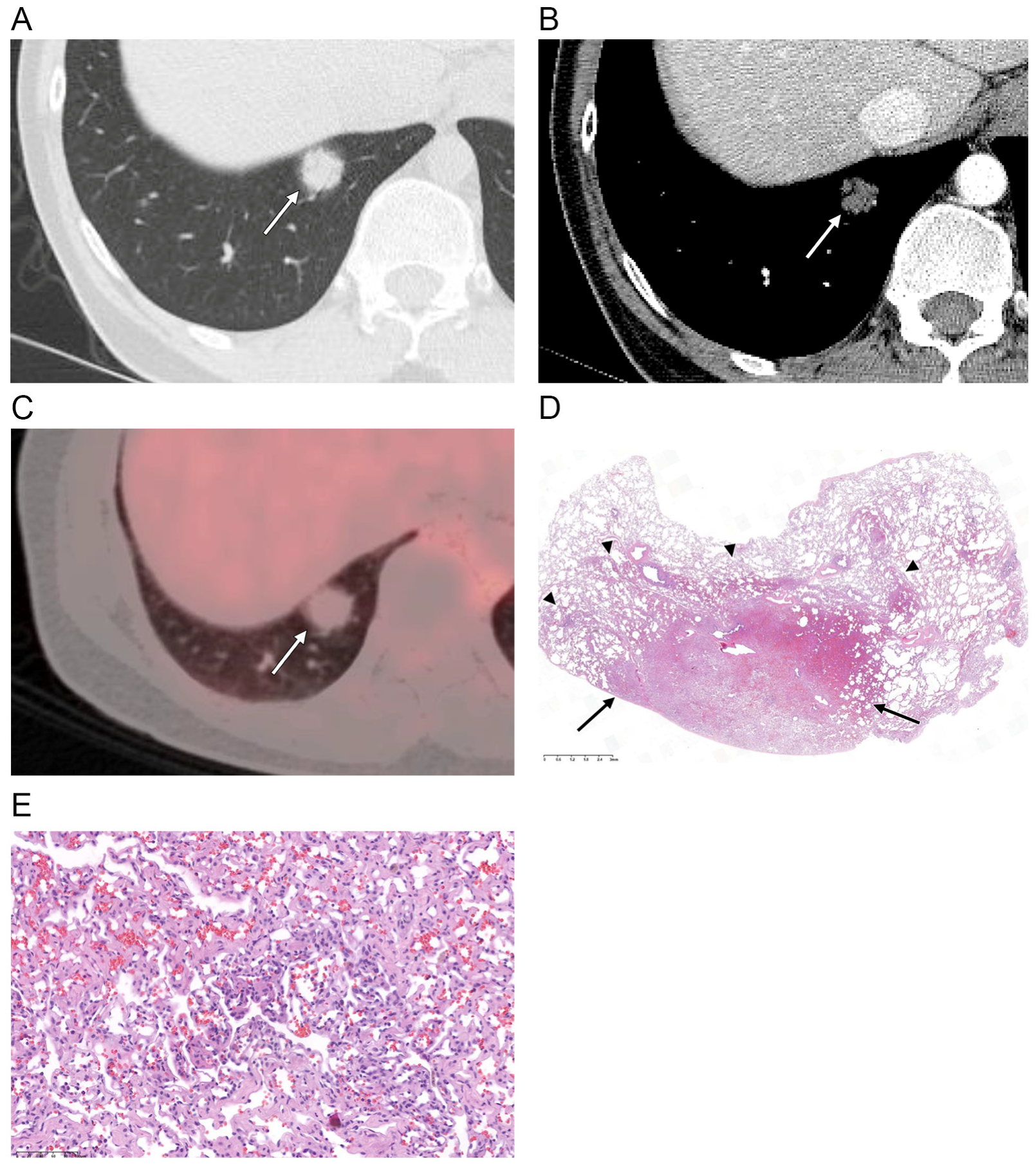 Diagnostics 12 02618 g001 Diagnostics 12 02618 g001
