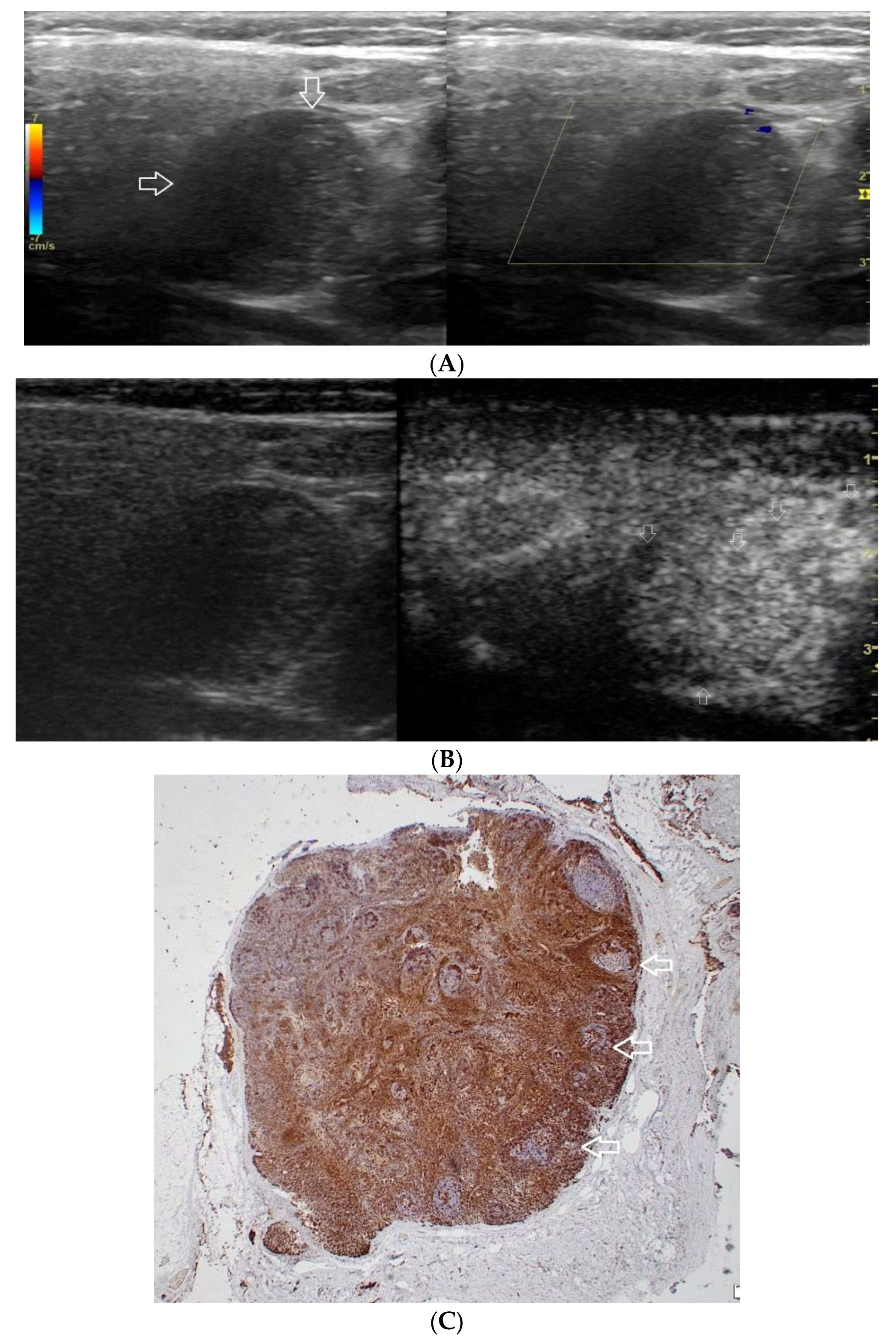Diagnostics 12 02636 g001 Diagnostics 12 02636 g001