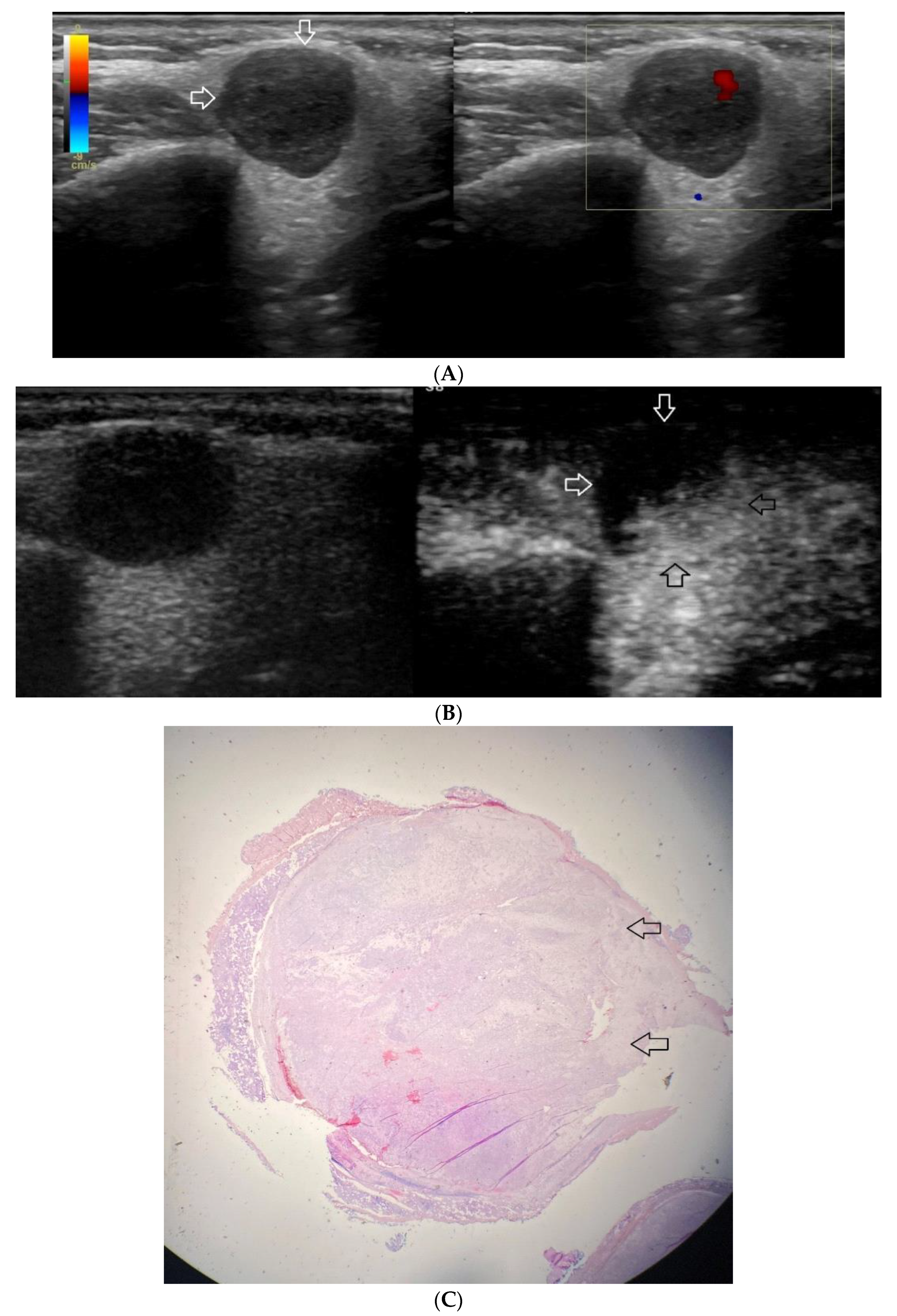 Diagnostics 12 02636 g002 Diagnostics 12 02636 g002