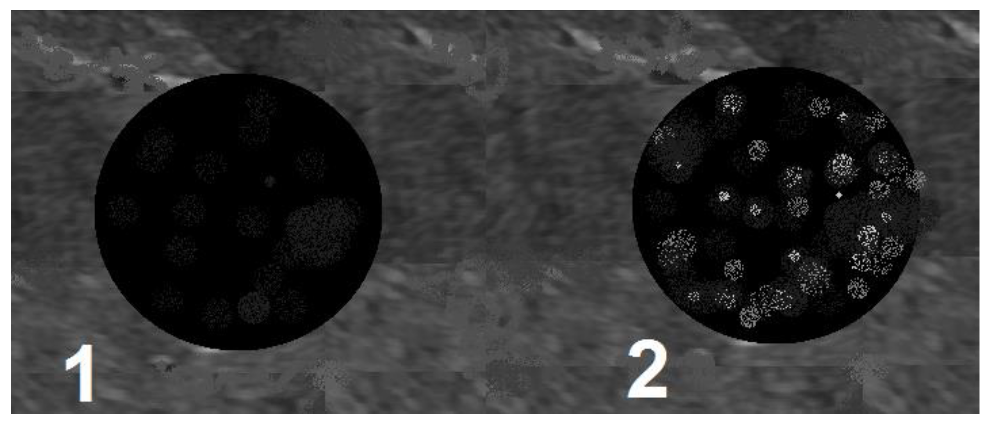 Diagnostics 12 02636 sch002 Diagnostics 12 02636 sch002