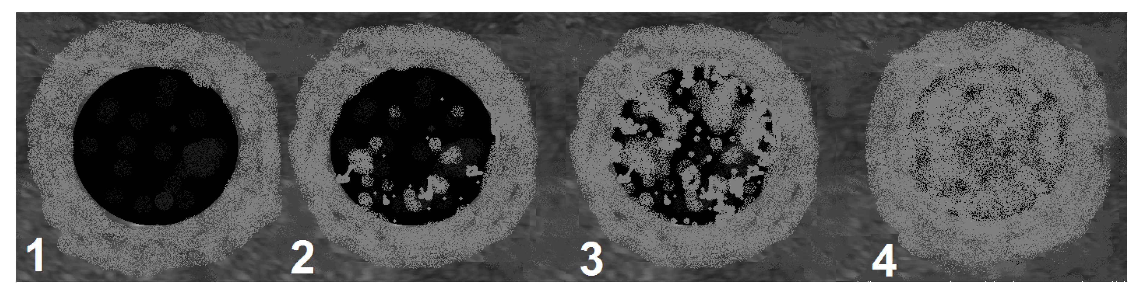 Diagnostics 12 02636 sch003 Diagnostics 12 02636 sch003