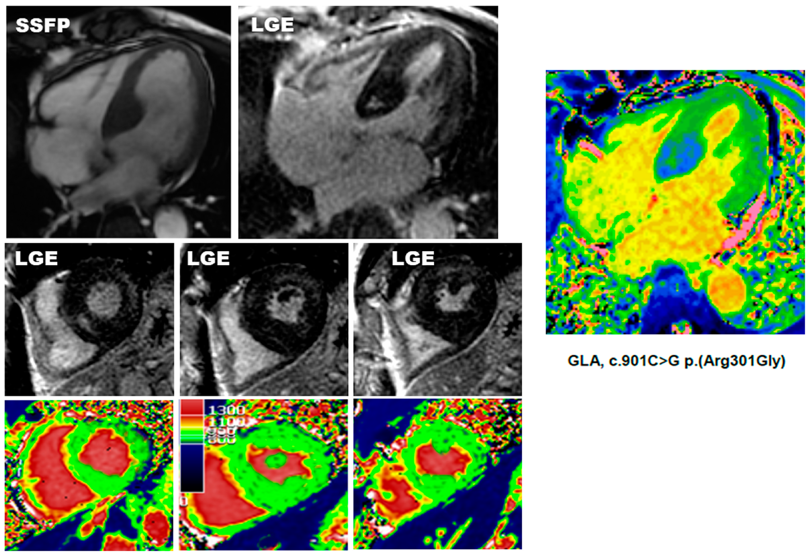 Diagnostics 12 02652 g002 Diagnostics 12 02652 g002