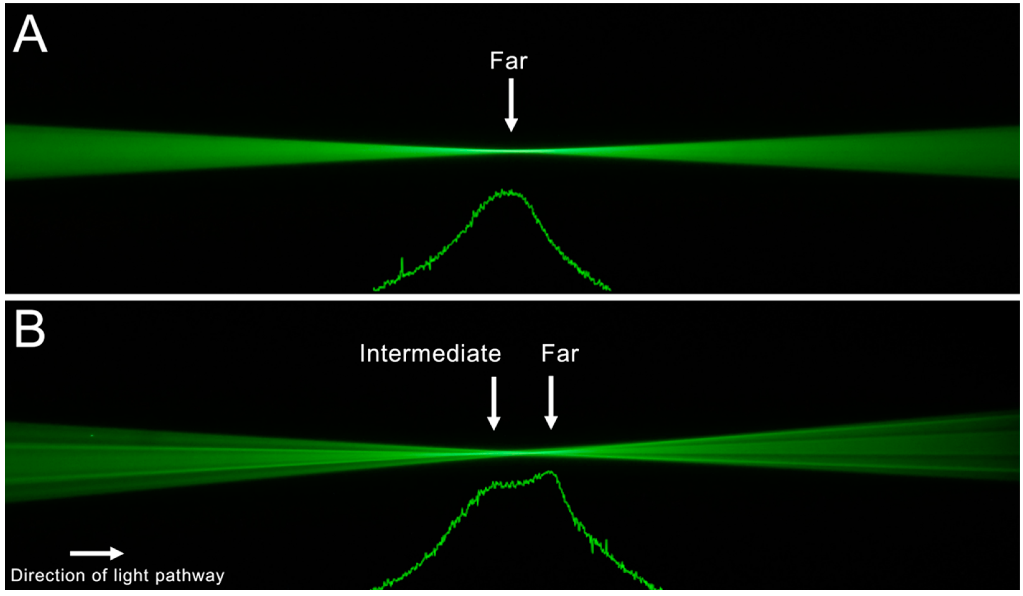Diagnostics 12 02667 g002 Diagnostics 12 02667 g002
