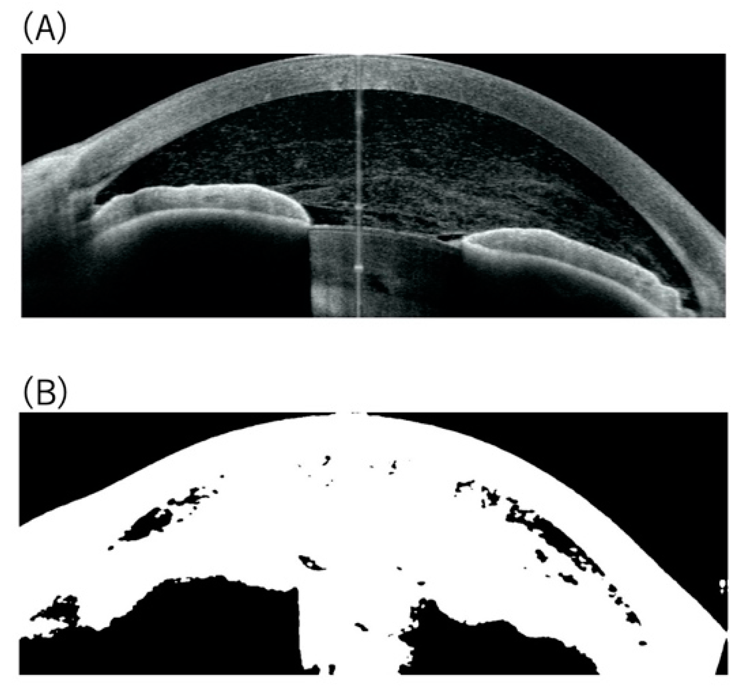 Diagnostics 12 02703 g002 Diagnostics 12 02703 g002