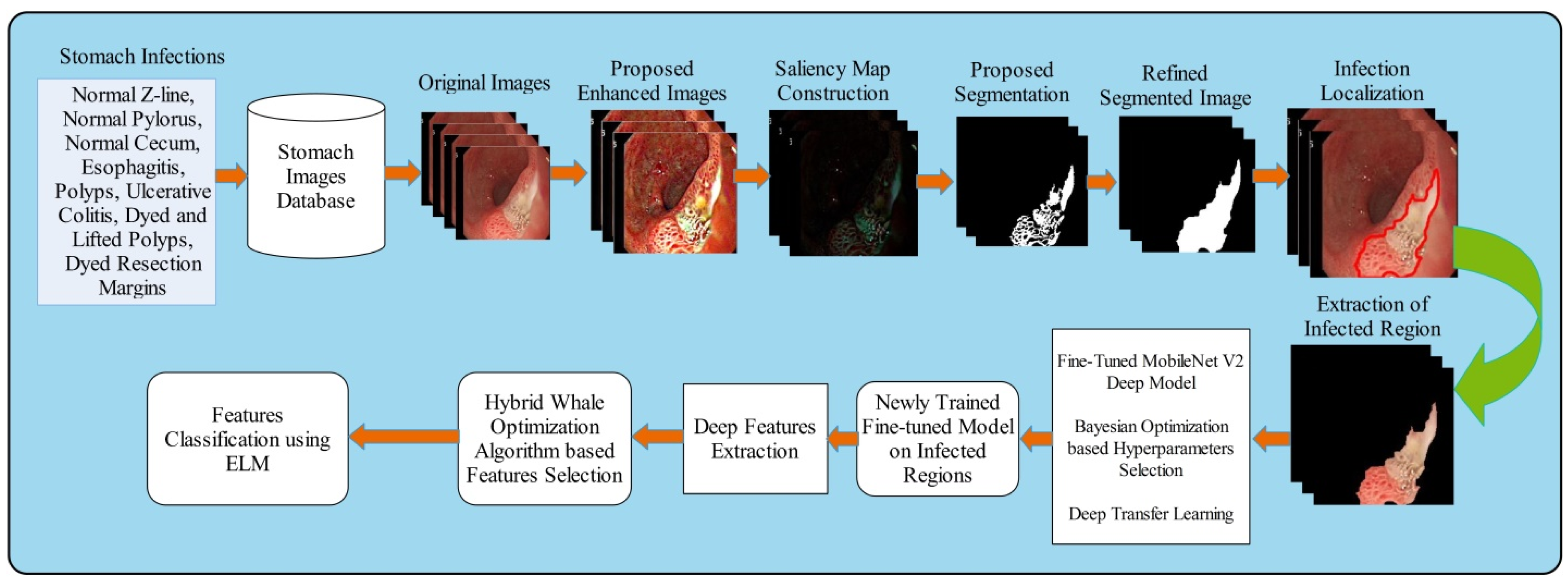 Diagnostics 12 02718 g001 Diagnostics 12 02718 g001