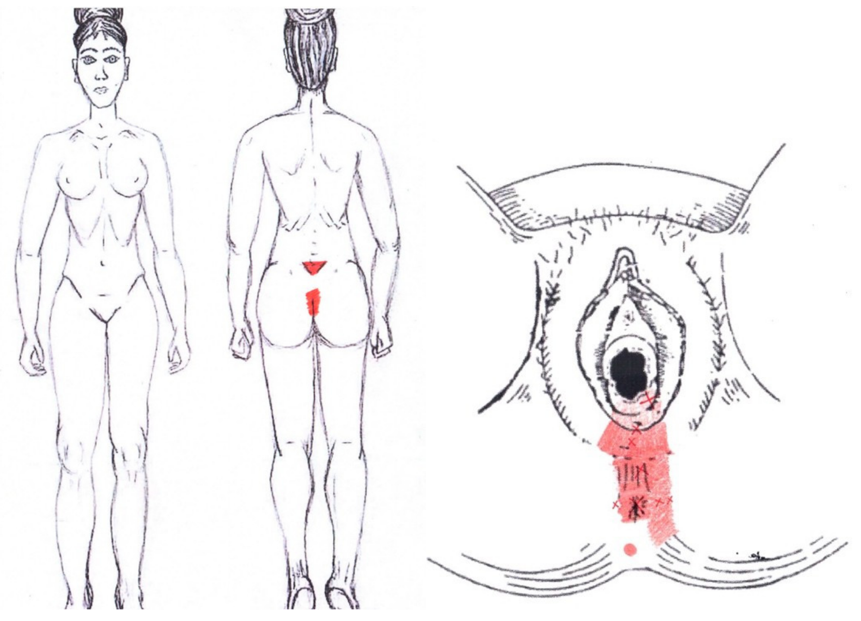 Diagnostics 12 02723 g019 Diagnostics 12 02723 g019