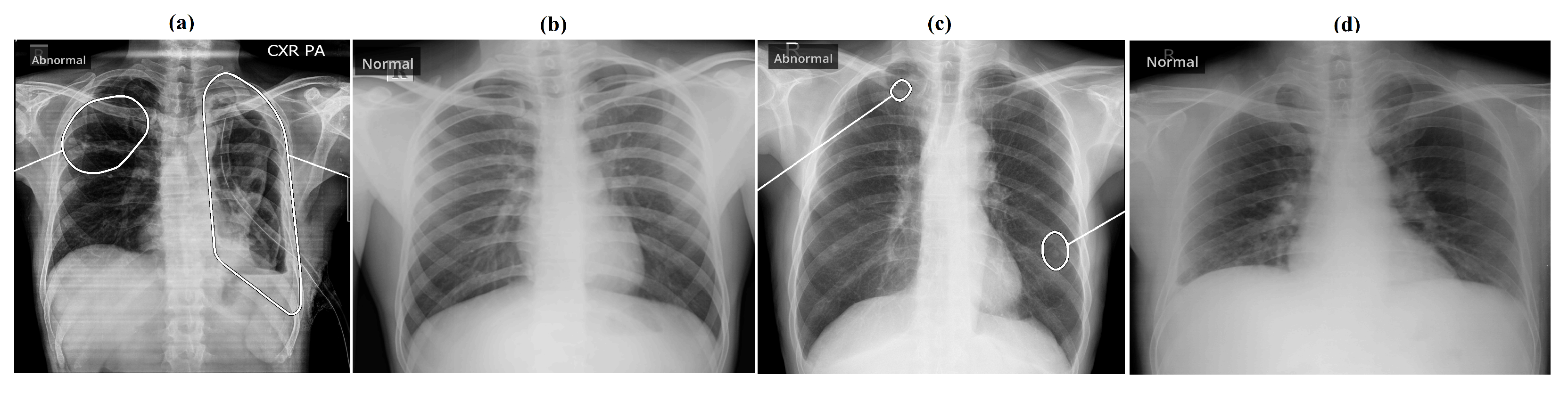 Diagnostics 12 02724 g006 Diagnostics 12 02724 g006