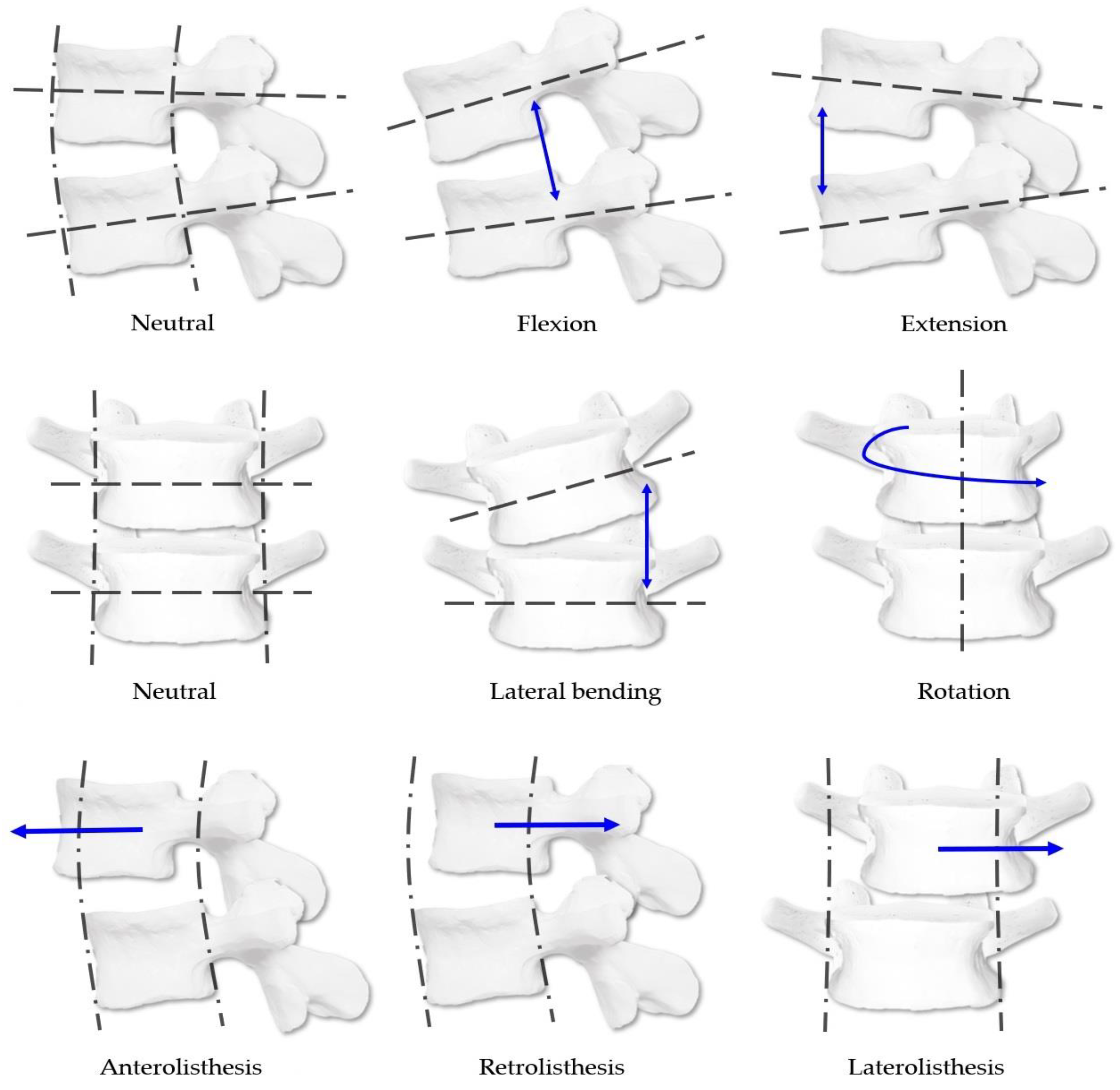 Diagnostics 12 02732 g002