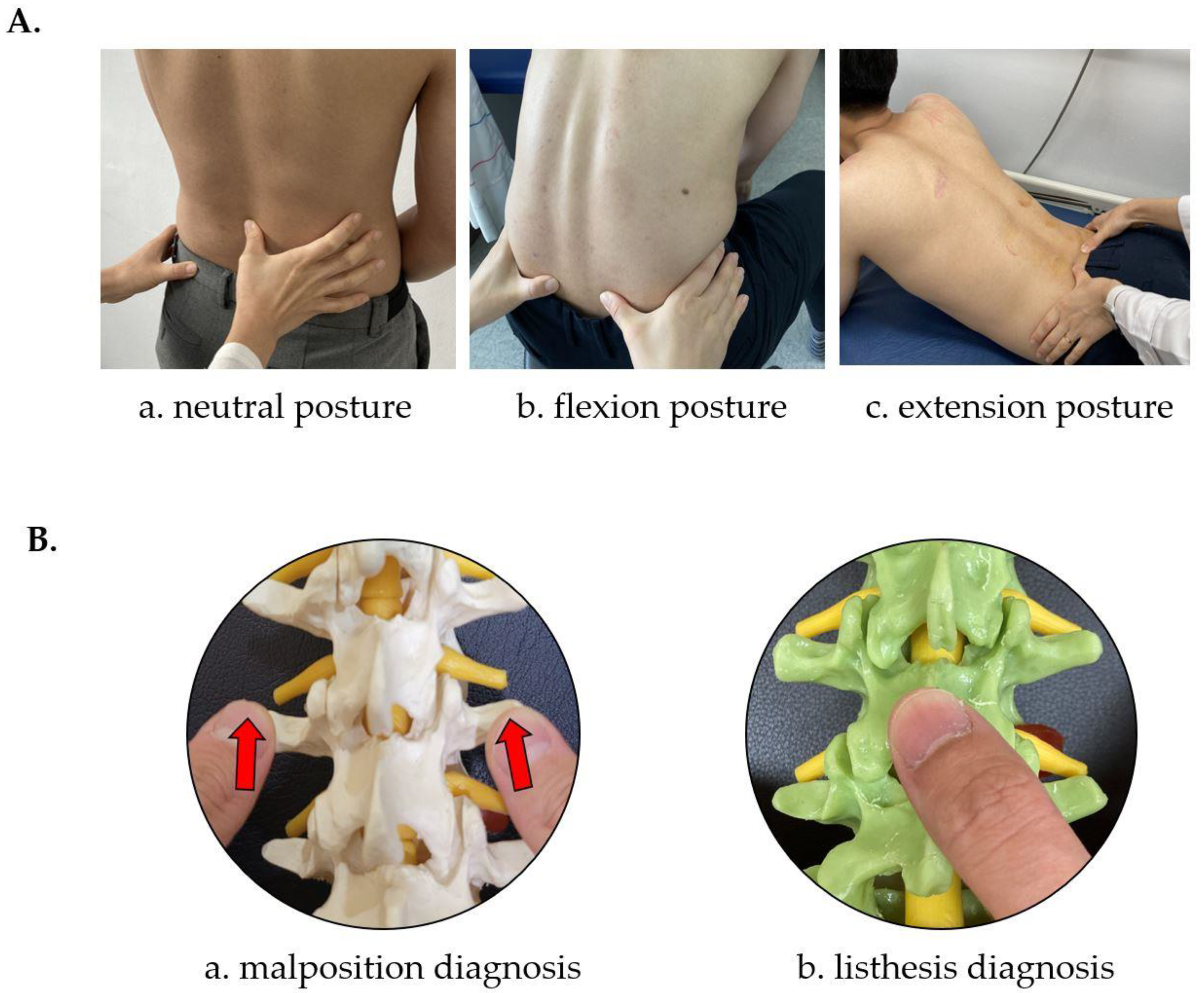 Diagnostics 12 02732 g003