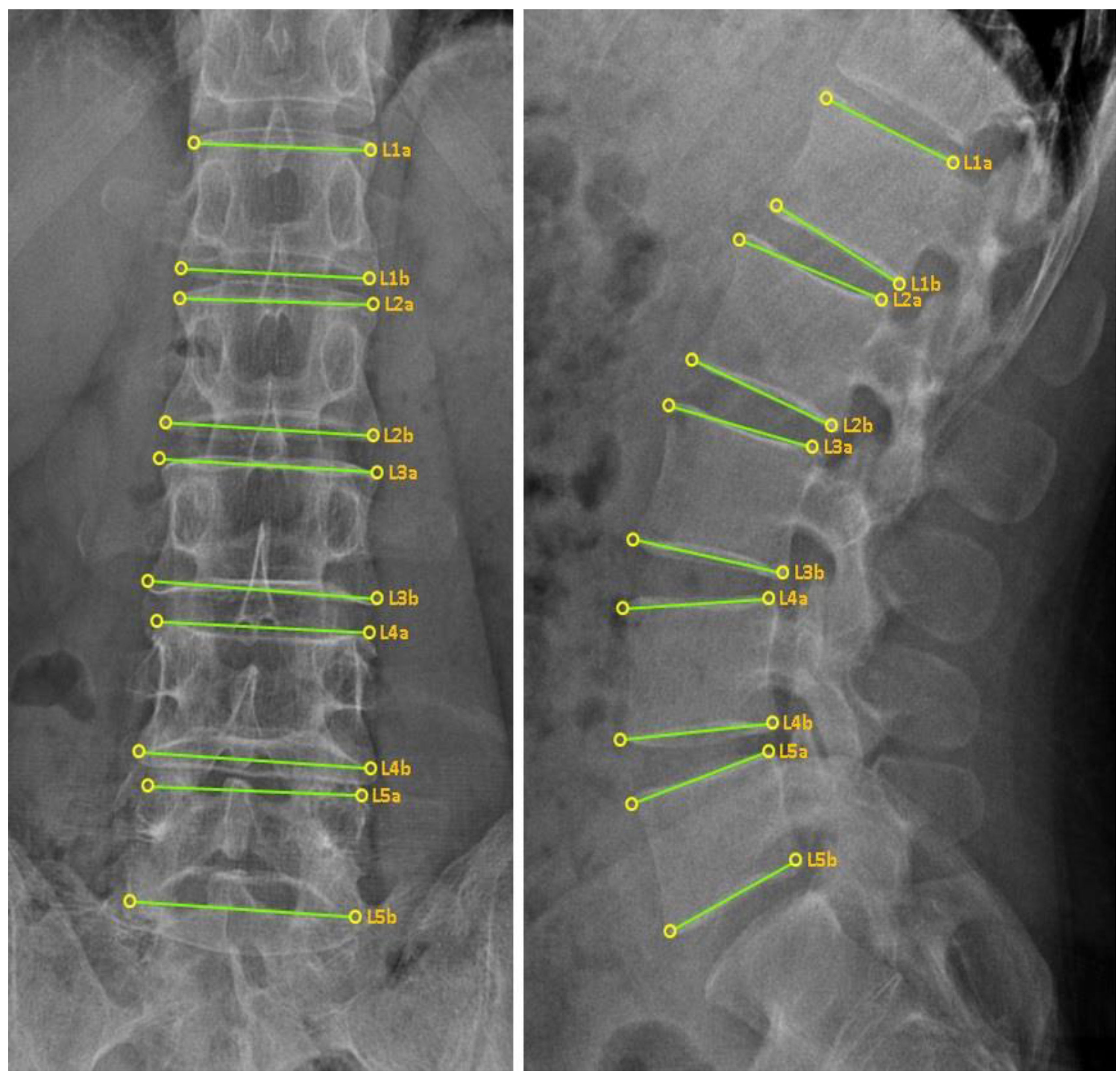 Diagnostics 12 02732 g004