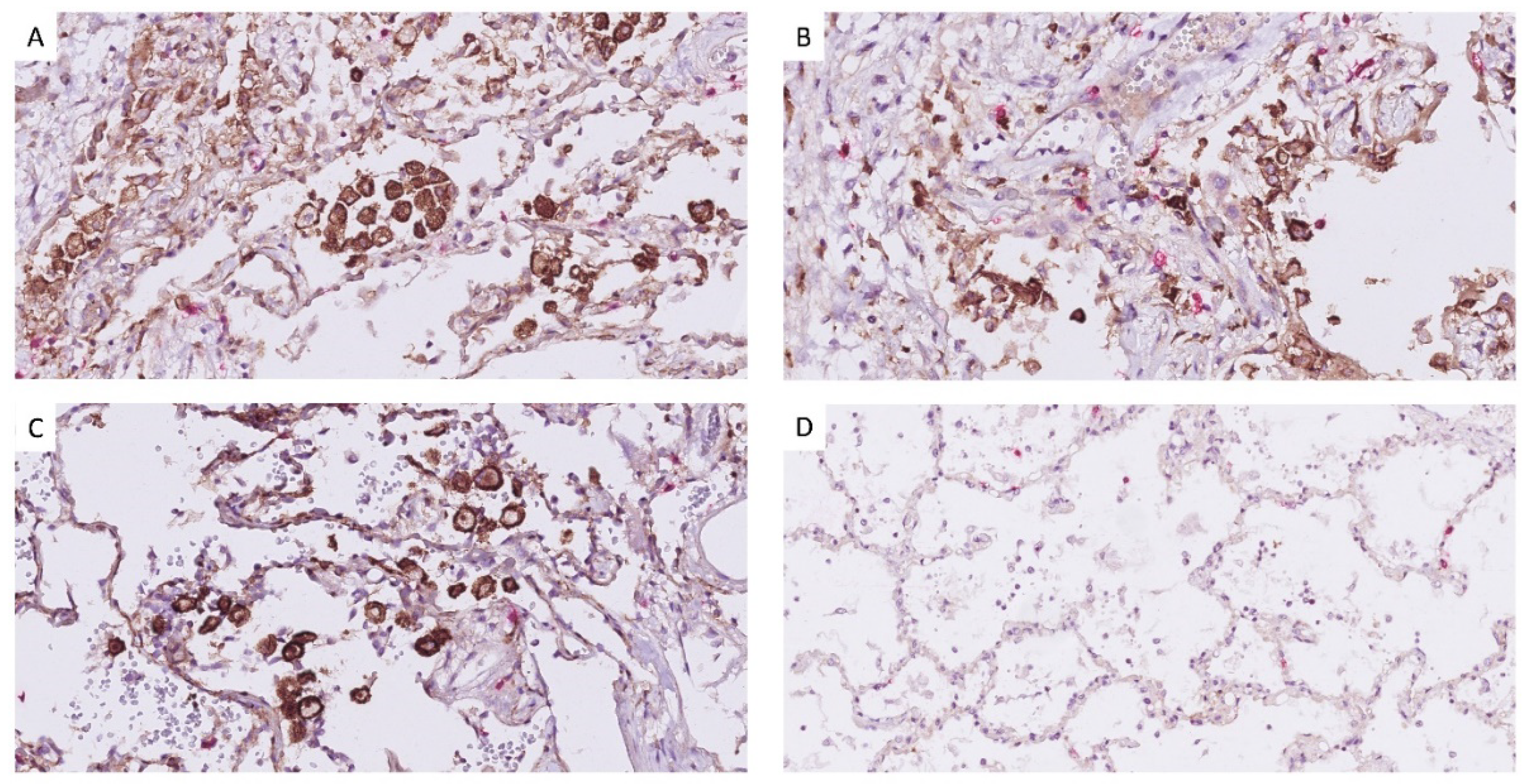 Diagnostics 12 02789 g003