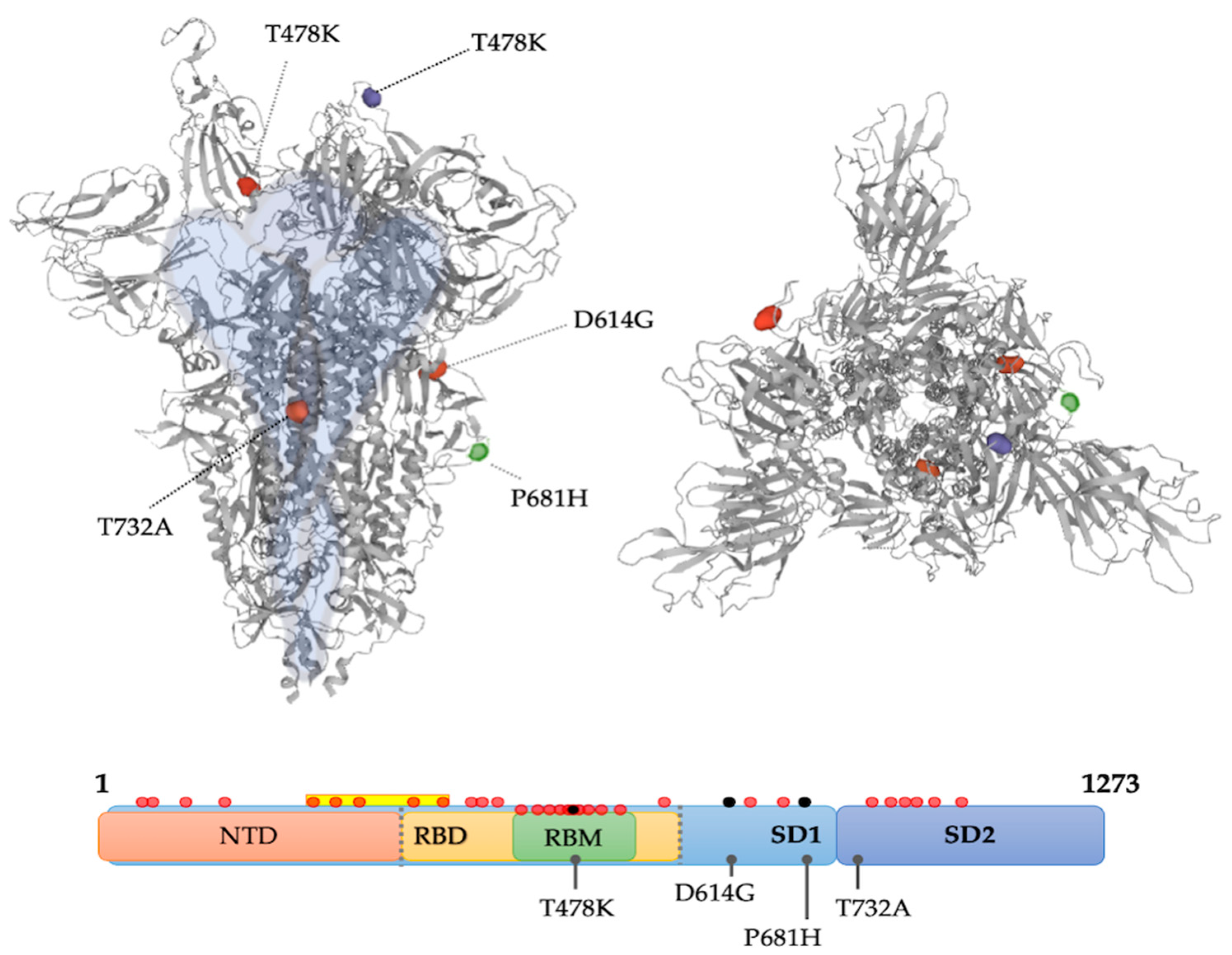 Diagnostics 12 02829 sch001