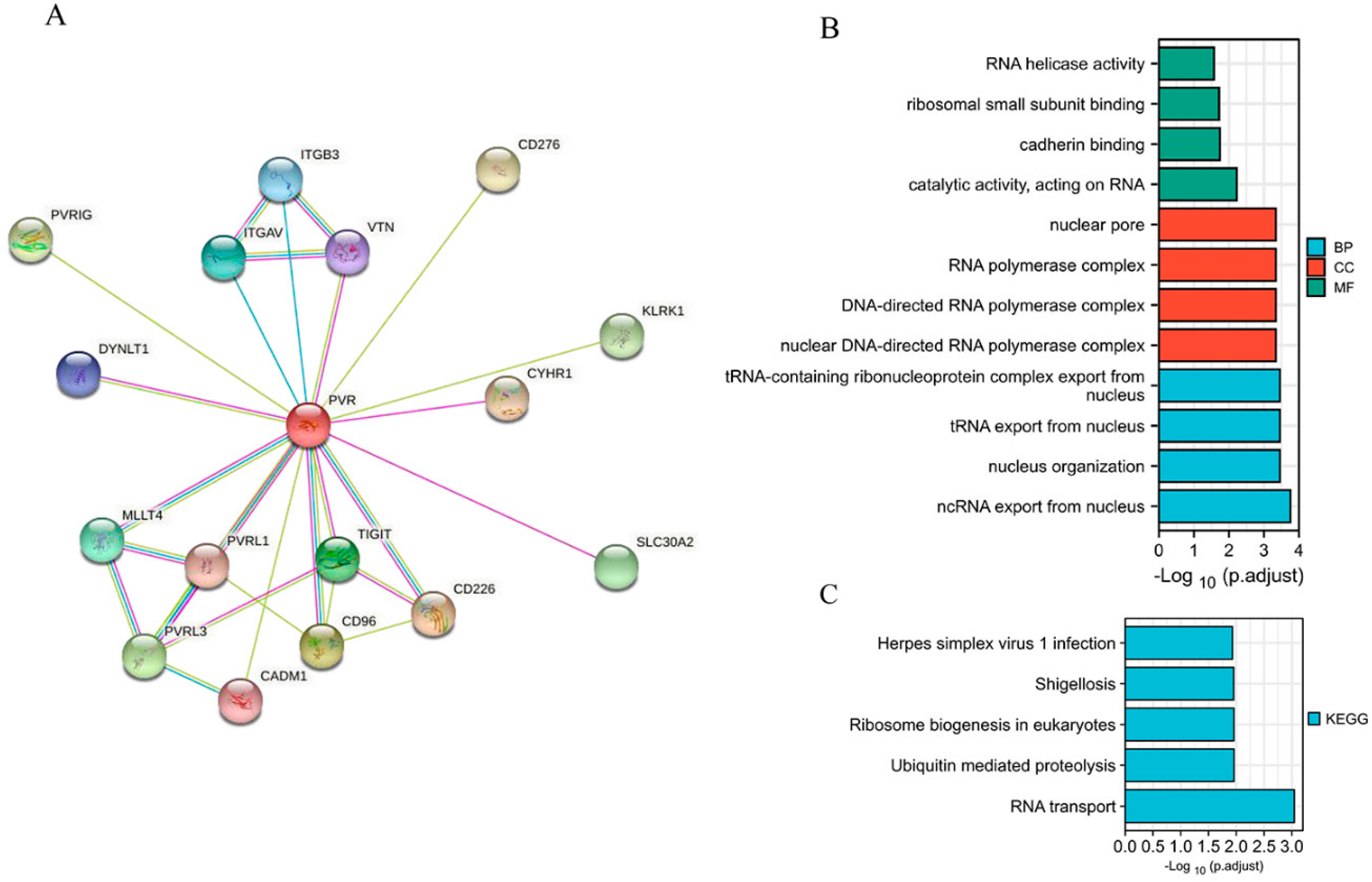 Diagnostics 12 02953 g004