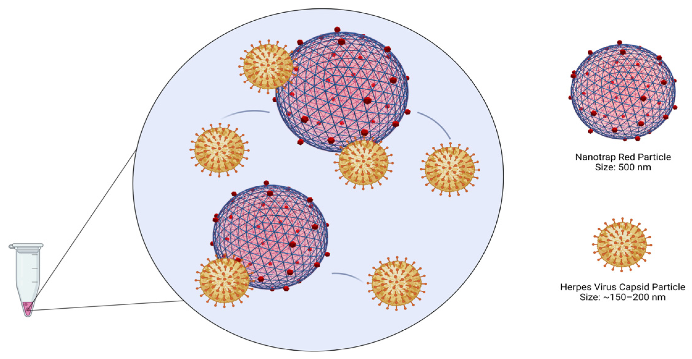 Diagnostics 12 03016 g002 Diagnostics 12 03016 g002
