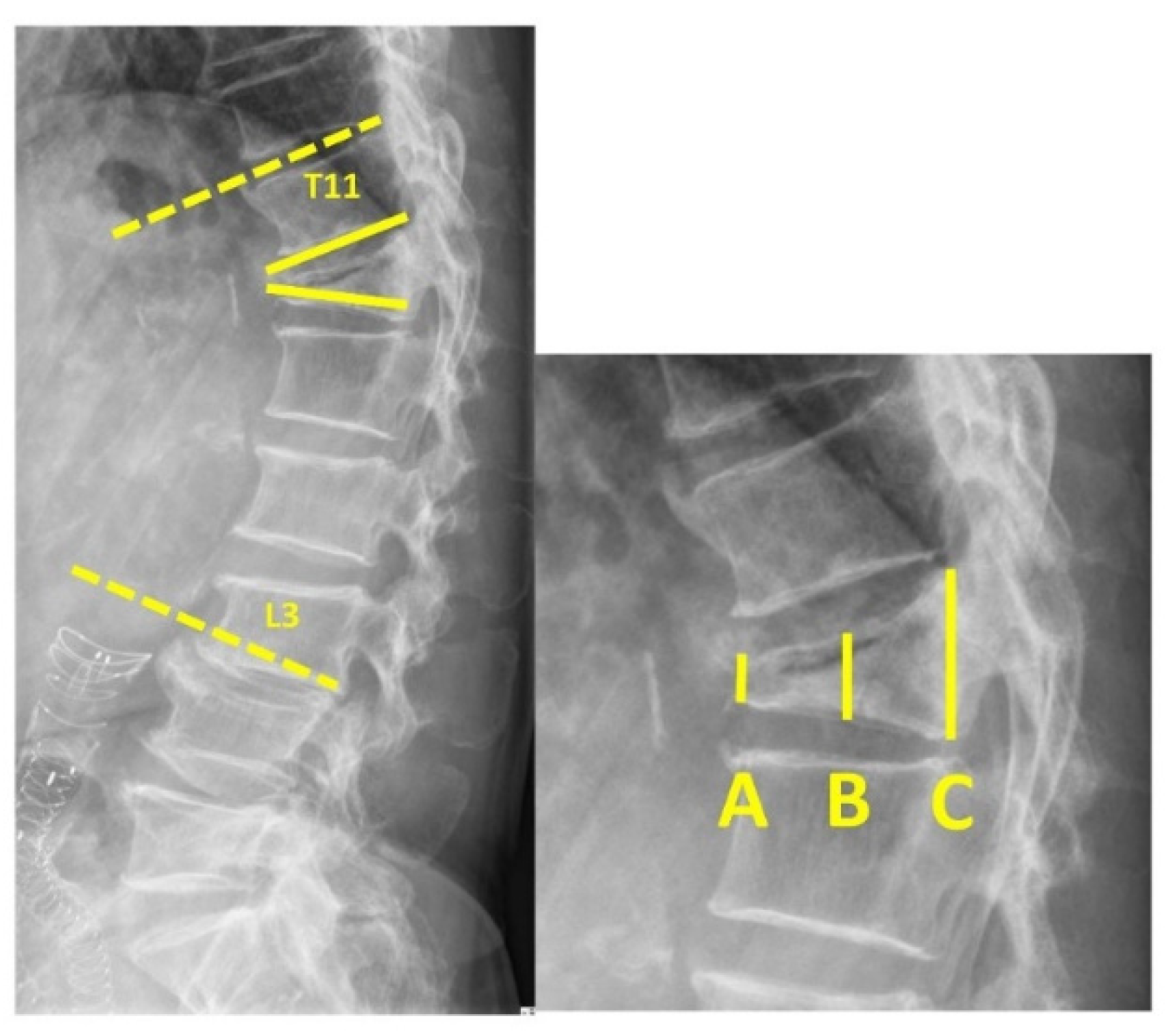 Diagnostics 12 03068 g001 Diagnostics 12 03068 g001