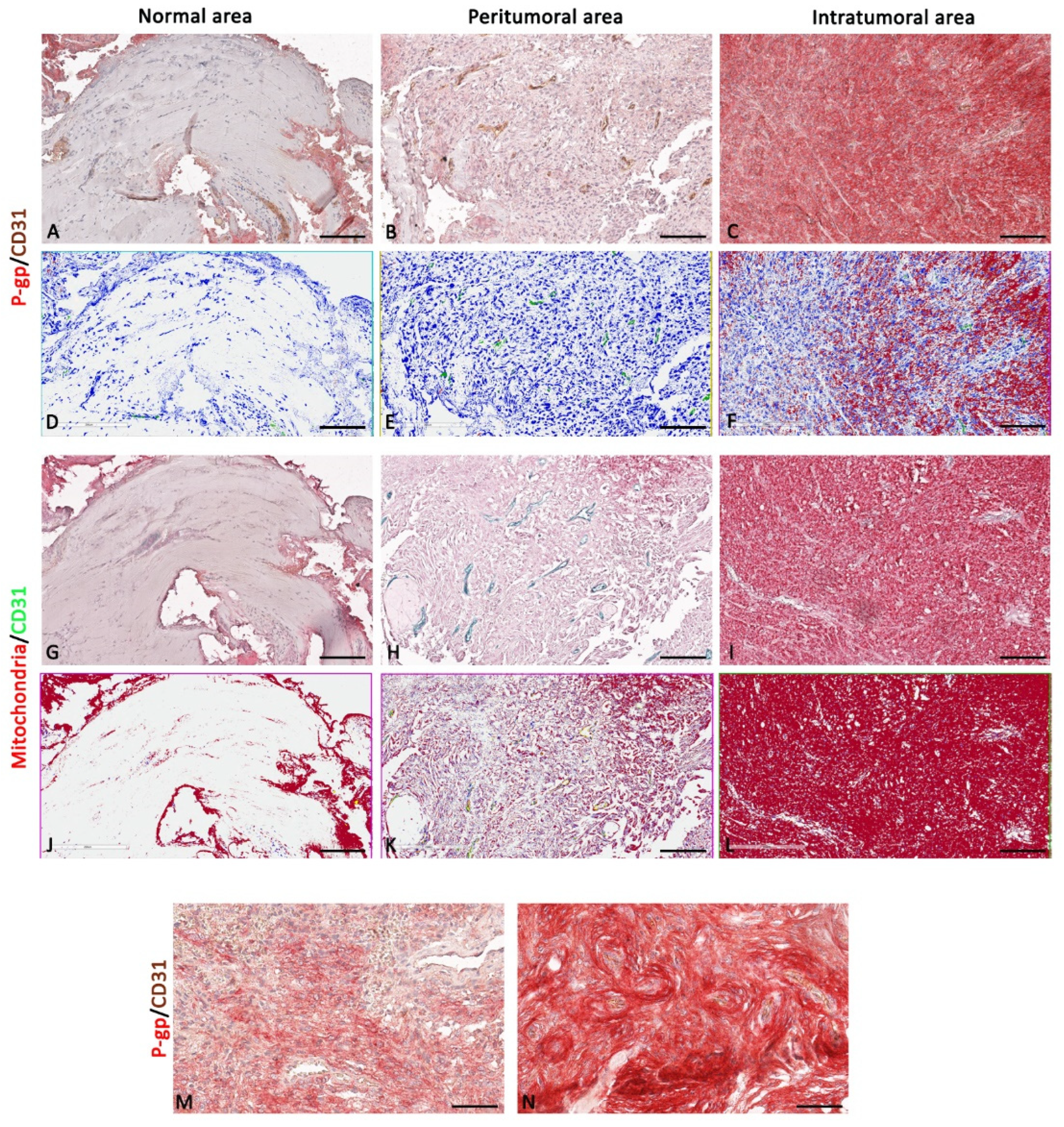 Diagnostics 12 03120 g002 Diagnostics 12 03120 g002