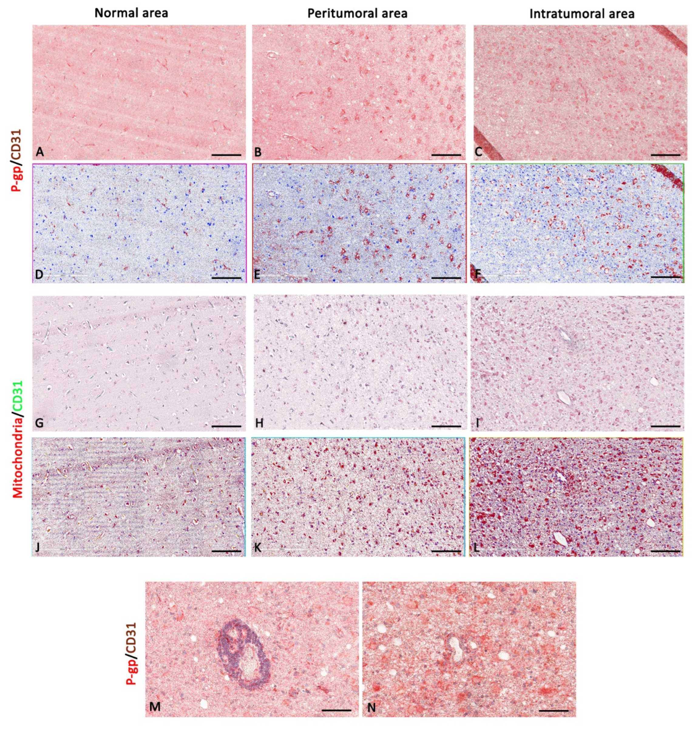 Diagnostics 12 03120 g005 Diagnostics 12 03120 g005