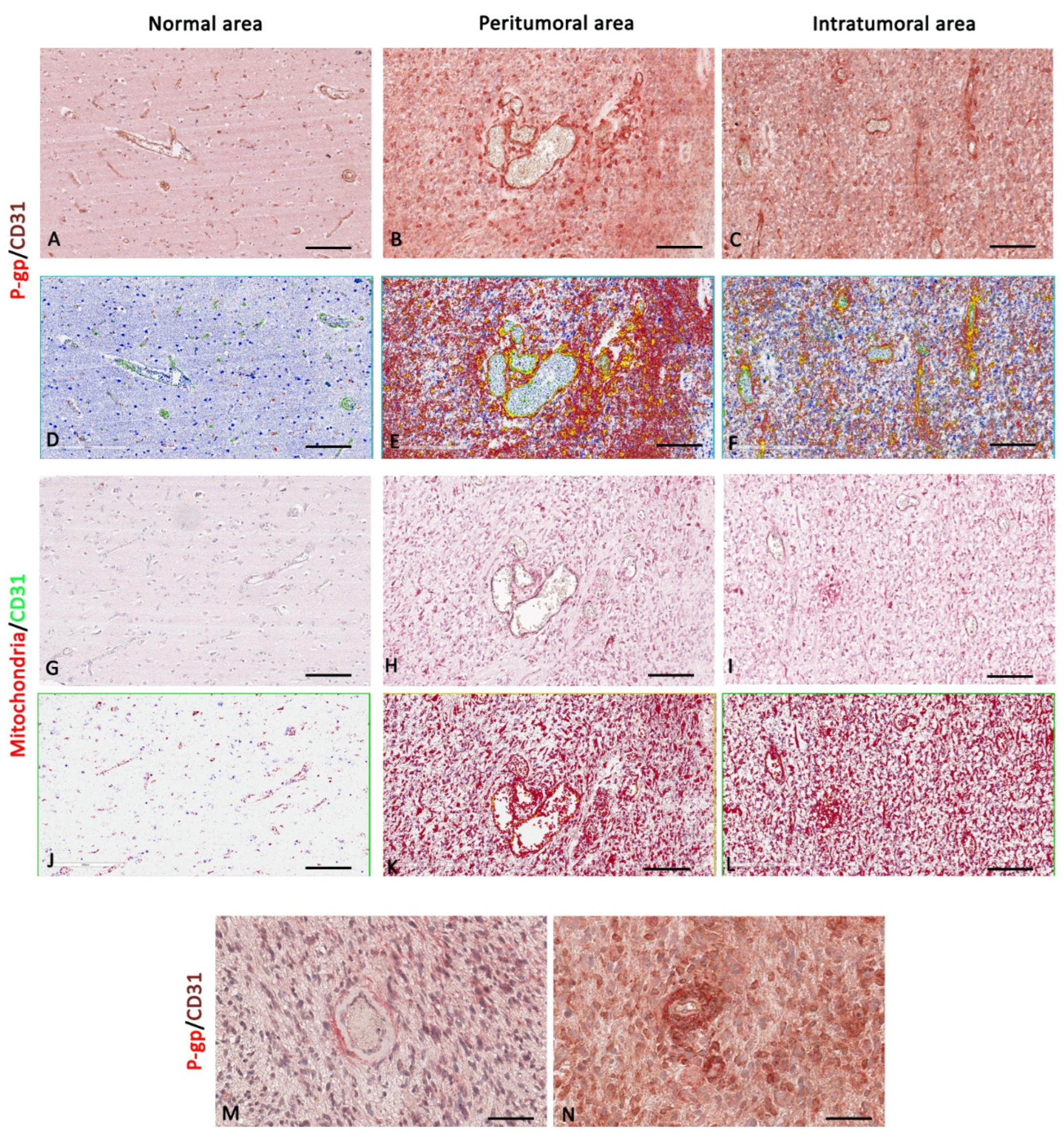 Diagnostics 12 03120 g008 Diagnostics 12 03120 g008