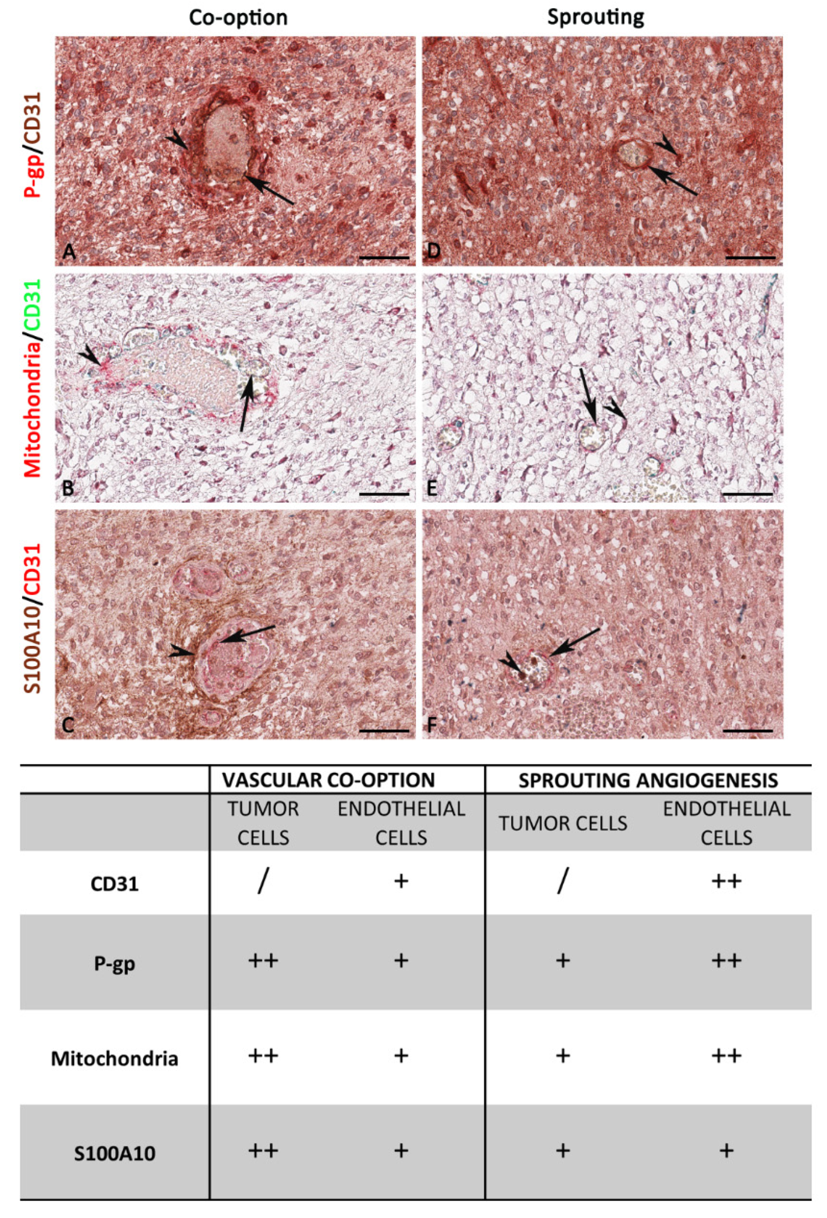 Diagnostics 12 03120 g012 Diagnostics 12 03120 g012