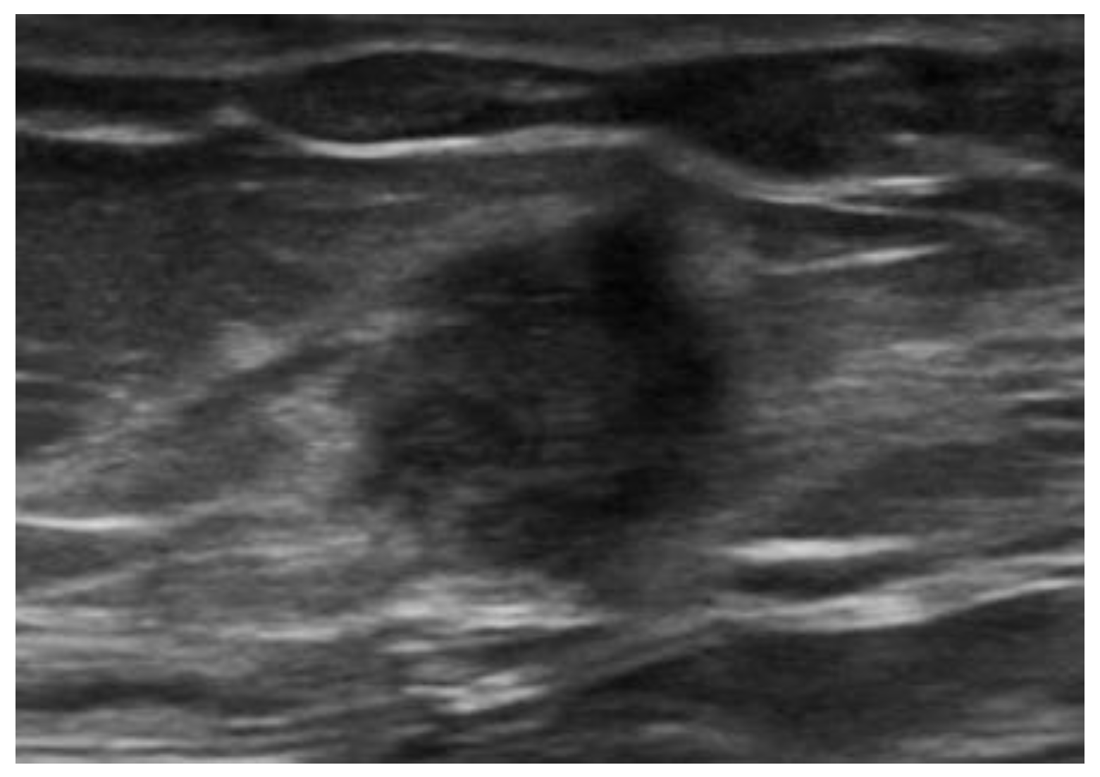 Diagnostics 12 03211 g017 Diagnostics 12 03211 g017