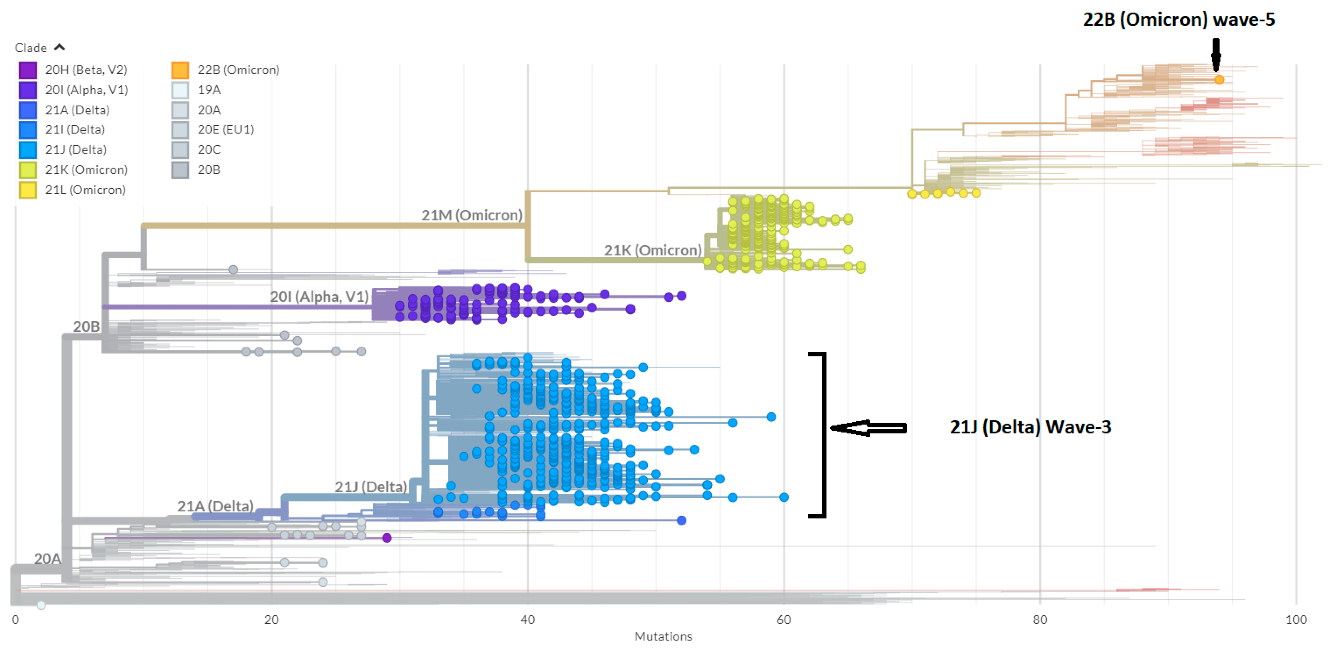 Diagnostics 13 00008 g004