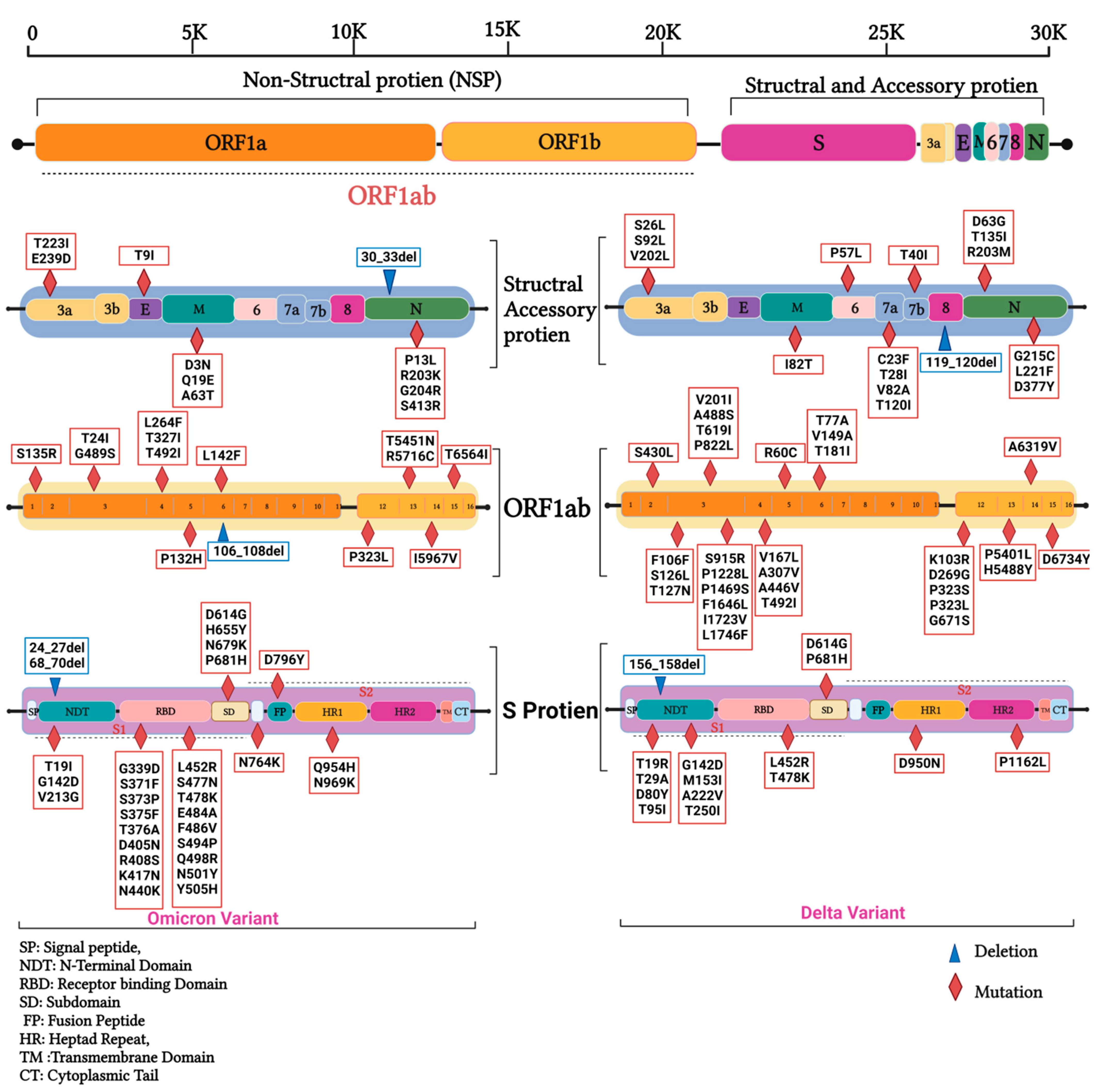 Diagnostics 13 00008 g007