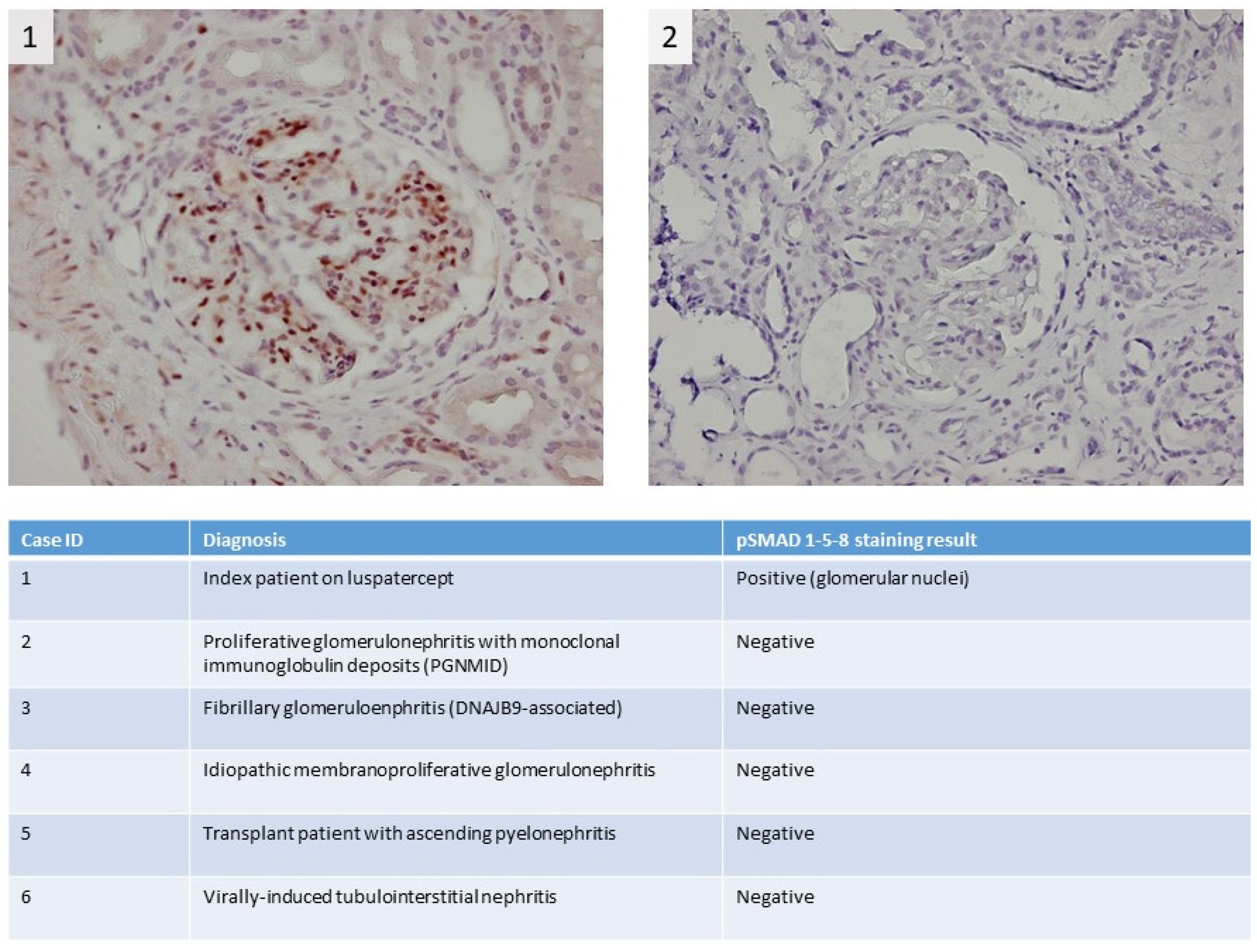 Diagnostics 13 00011 g002