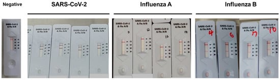 Diagnostics | Free Full-Text | Performance Evaluation Of STANDARD Q ...